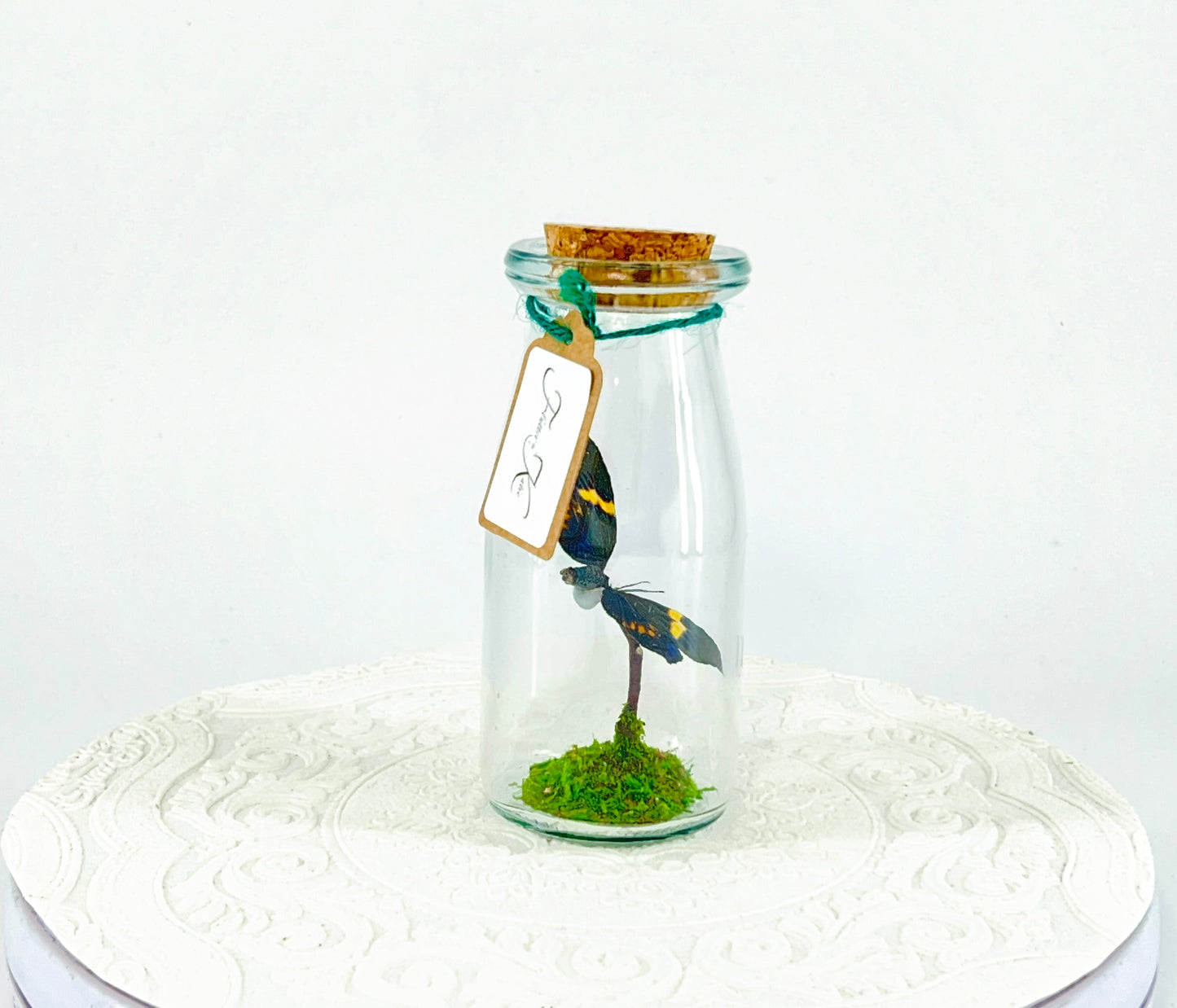 Accent Jar | Day Moth | Green Black Yellow | Tabletop Display