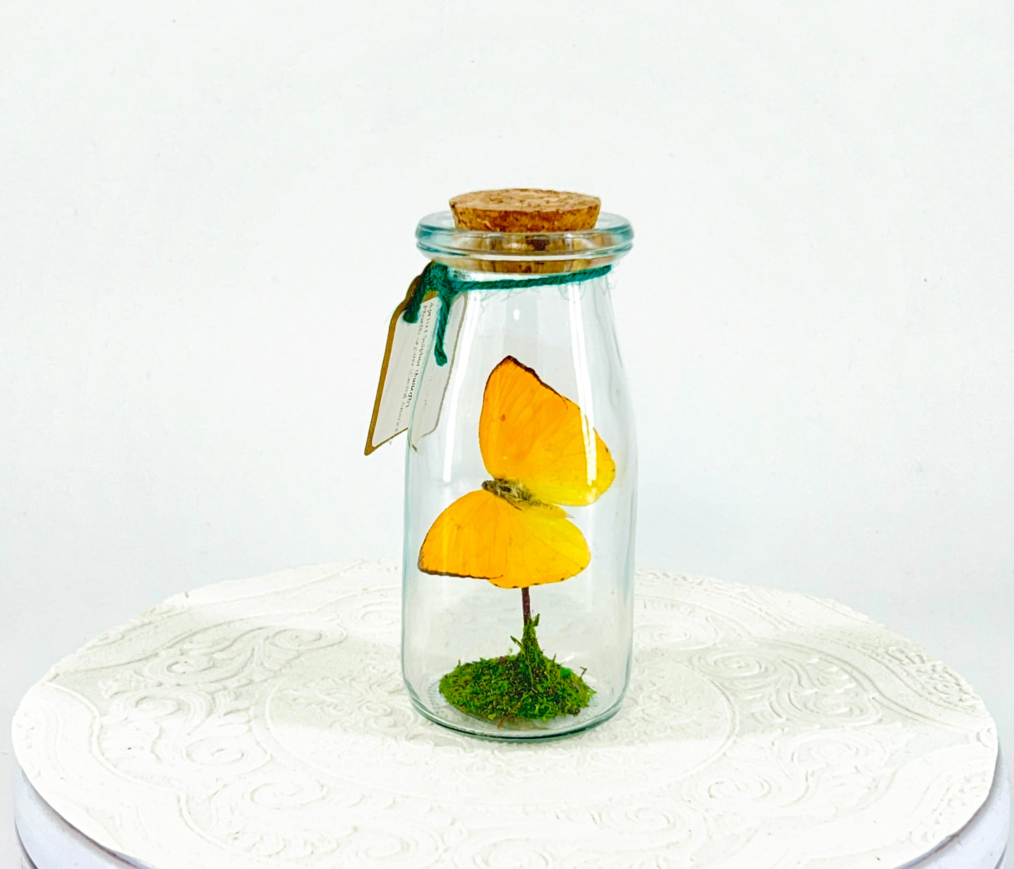 Accent Jar | Apricot Sulphur | Yellow | Tabletop Display