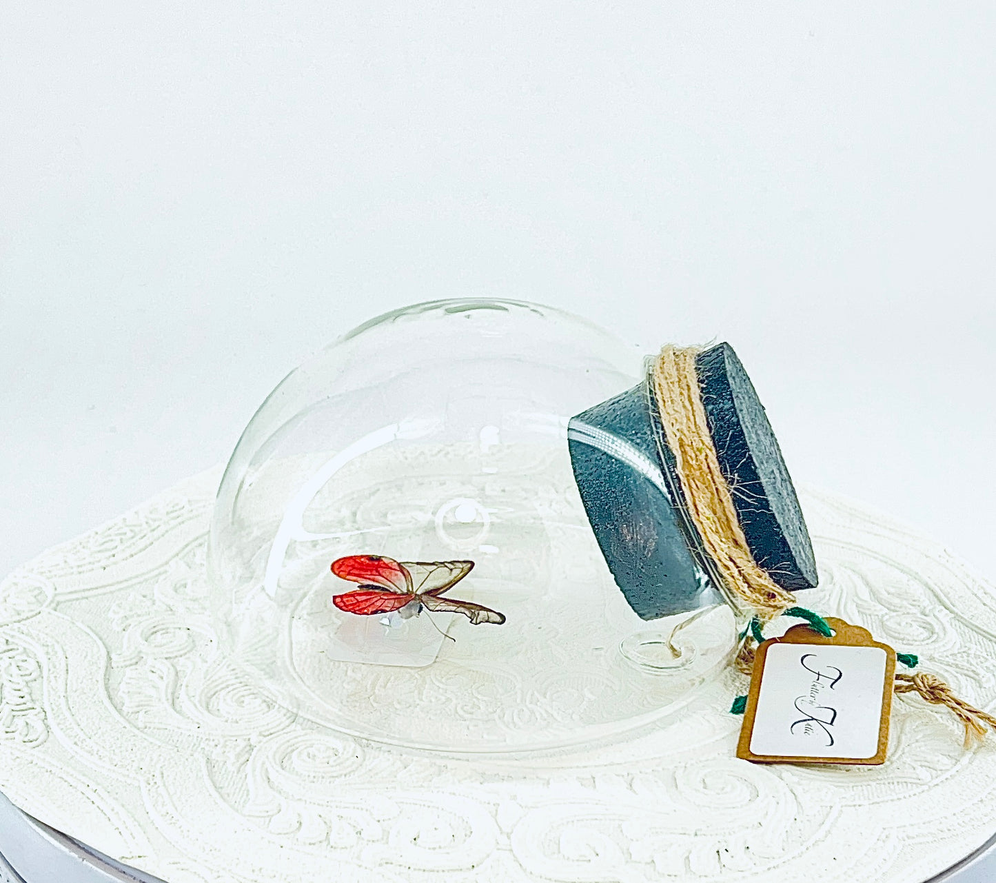 Droplet | Pink Glasswing | Pink Translucent | Tabletop or Wall Hanging Display