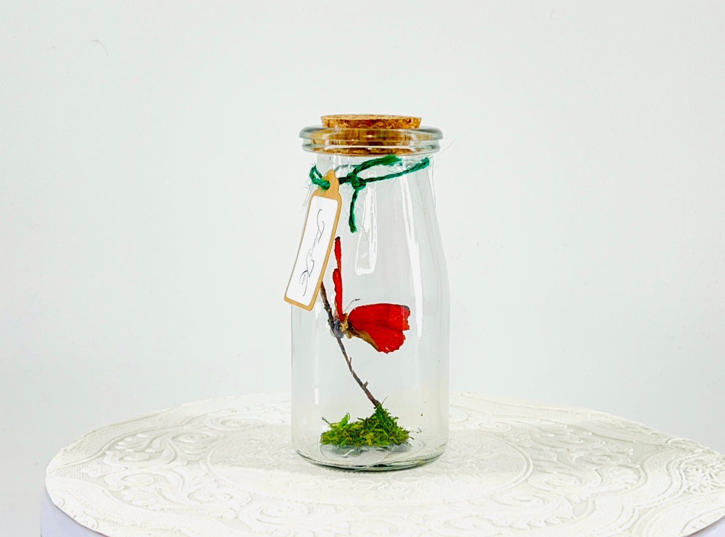 Accent Jar | Red Glider | Red | Tabletop Display