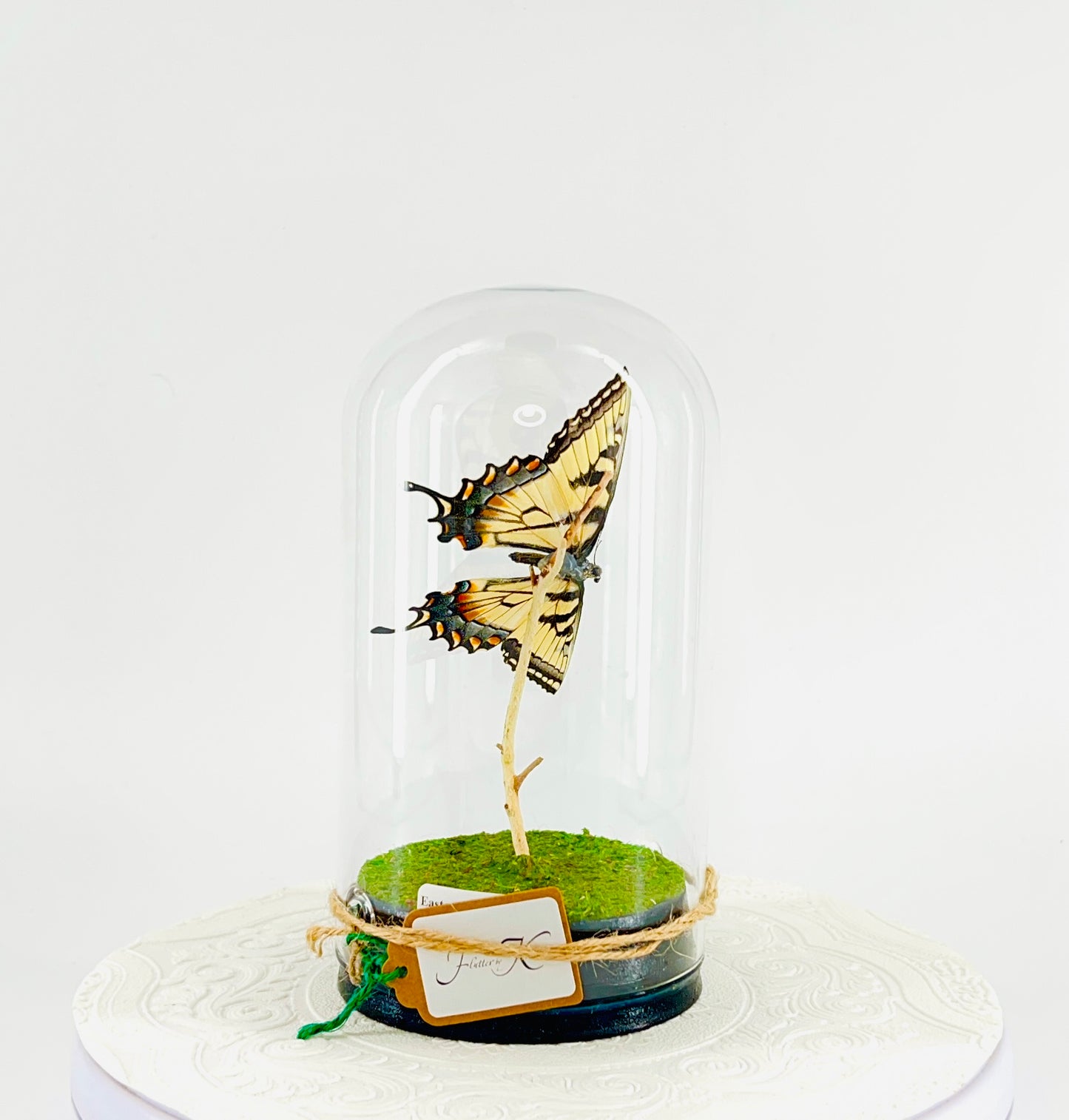 Large Pendant | Hanging or Tabletop Centerpiece | Eastern Tiger Swallowtail | Yellow Black Blue | Flutter by Katie | Handmade Butterfly Sculpture Art | Home Decor | North America