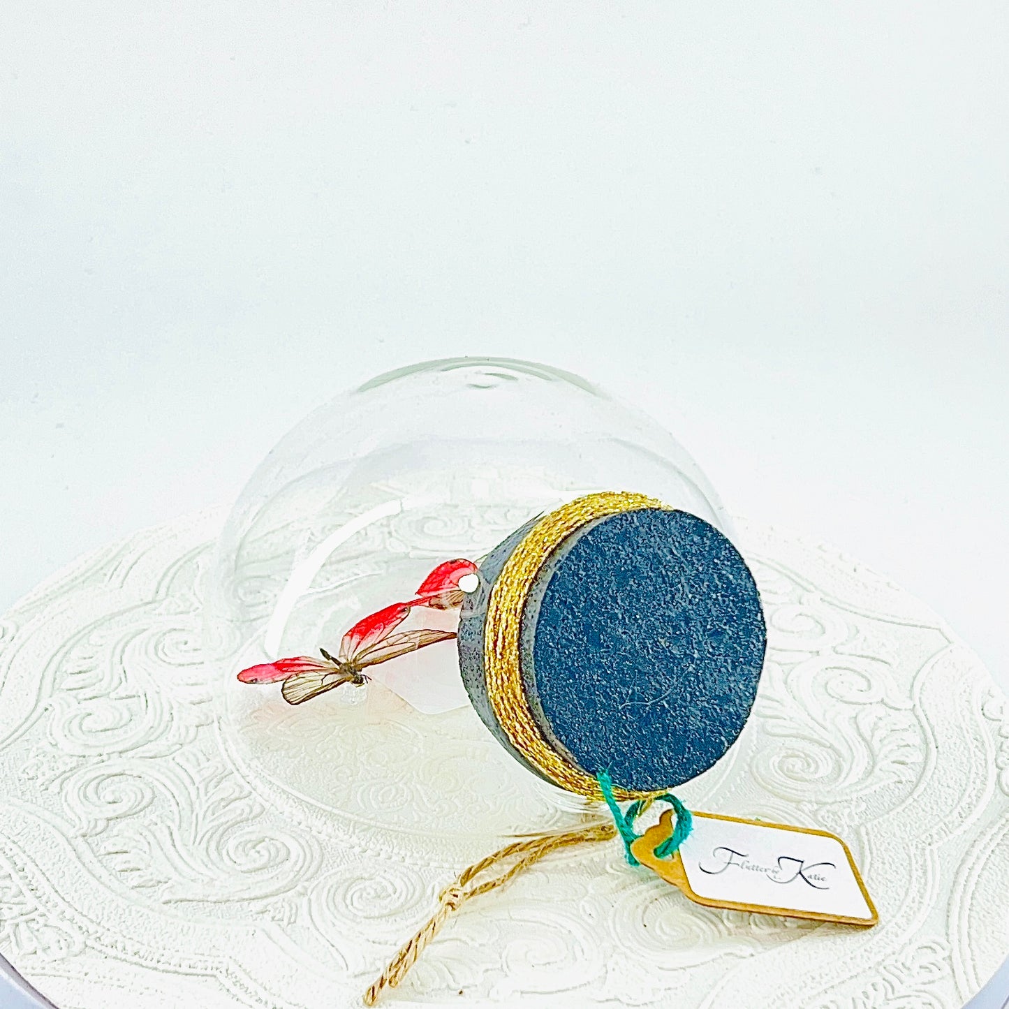 Droplet | Pink Glasswing x2 | Pink Translucent | Tabletop or Wall Hanging Display (Copy)