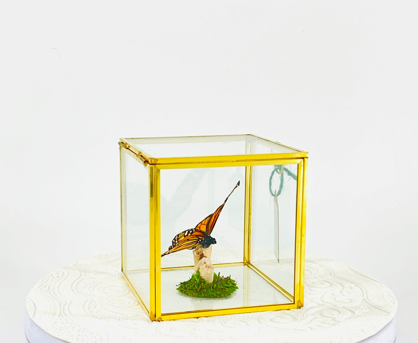 The Cube | Centerpiece | Monarch | Black Orange | Flutter by Katie Handmade Butterfly Sculpture Art | Home Decor | North America