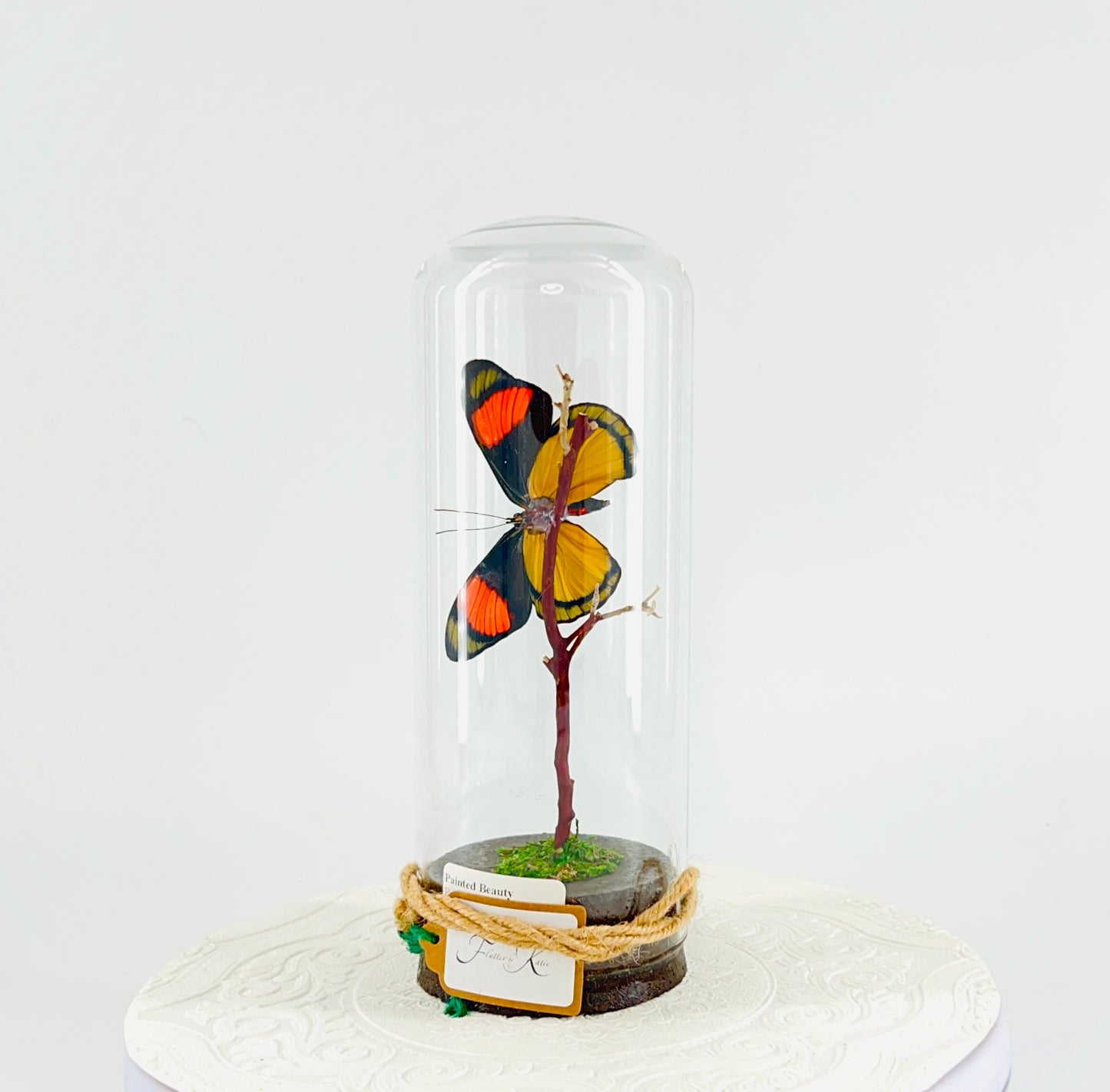 Pendant | Hanging or Tabletop Centerpiece | Painted Beauty | Pink Blue Black Yellow | Flutter by Katie | Butterfly Display | Sculpture Art | Handmade | Home Decor | Peru