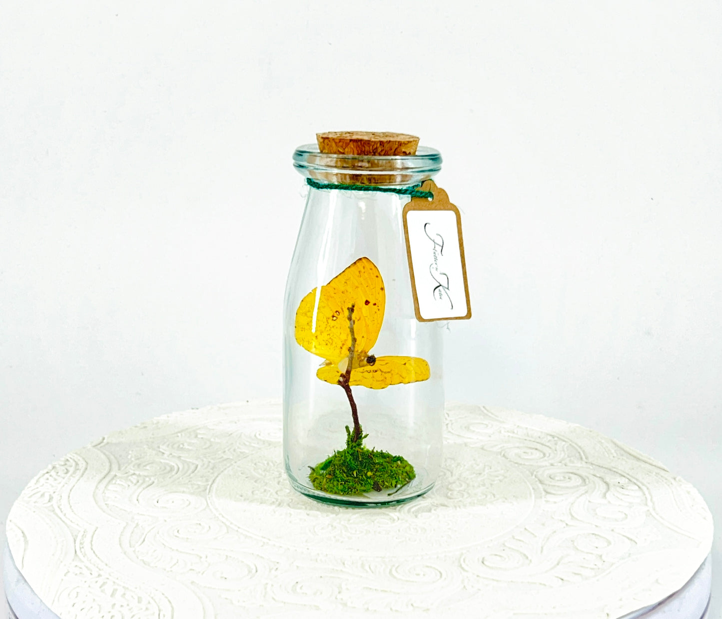 Accent Jar | Apricot Sulphur | Yellow | Tabletop Display