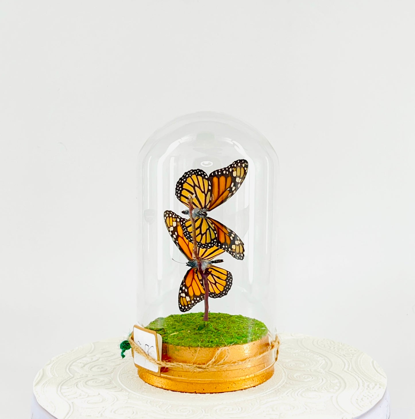 Large Pendant | Hanging or Tabletop Display | Double Monarch | Centerpiece | Orange Black | Flutter by Katie Butterfly Sculpture Art | North America