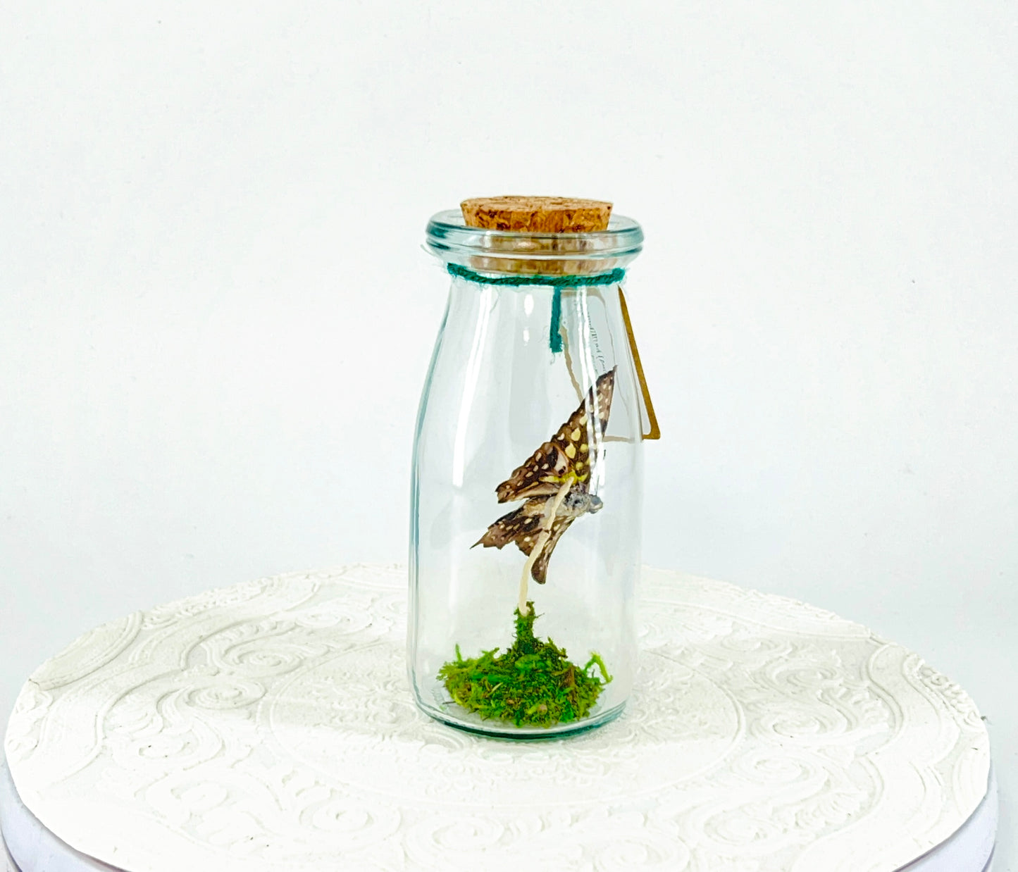 Accent Jar | Agamemnon | Green Black | Tabletop Display