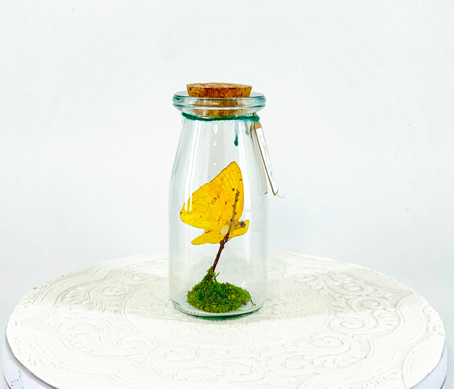 Accent Jar | Apricot Sulphur | Yellow | Tabletop Display