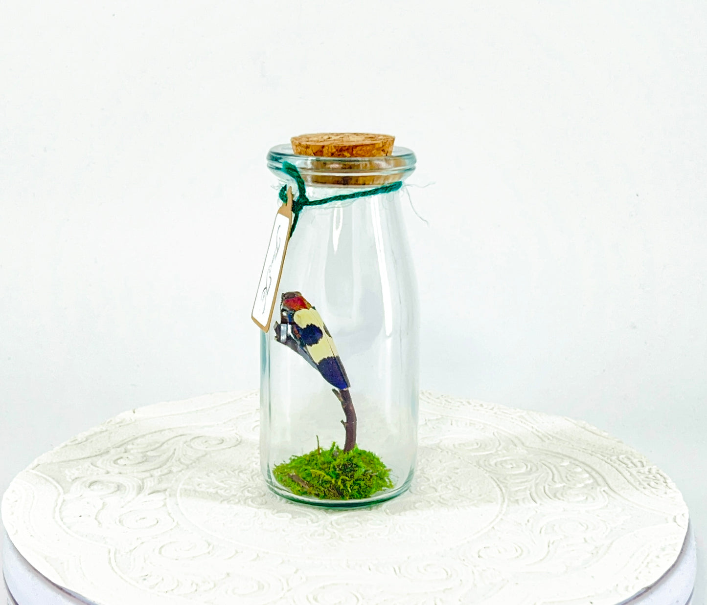 Accent Jar | Red Speckled Jewel Bettle | Red Yellow Blue | Tabletop Display