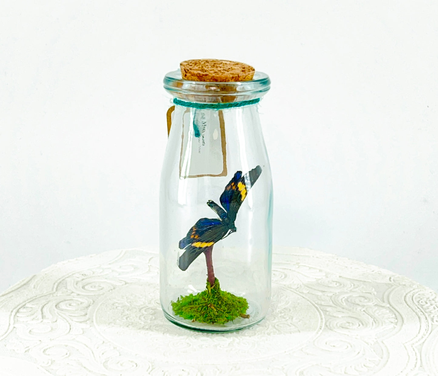 Accent Jar | Day Moth | Green Black Yellow | Tabletop Display