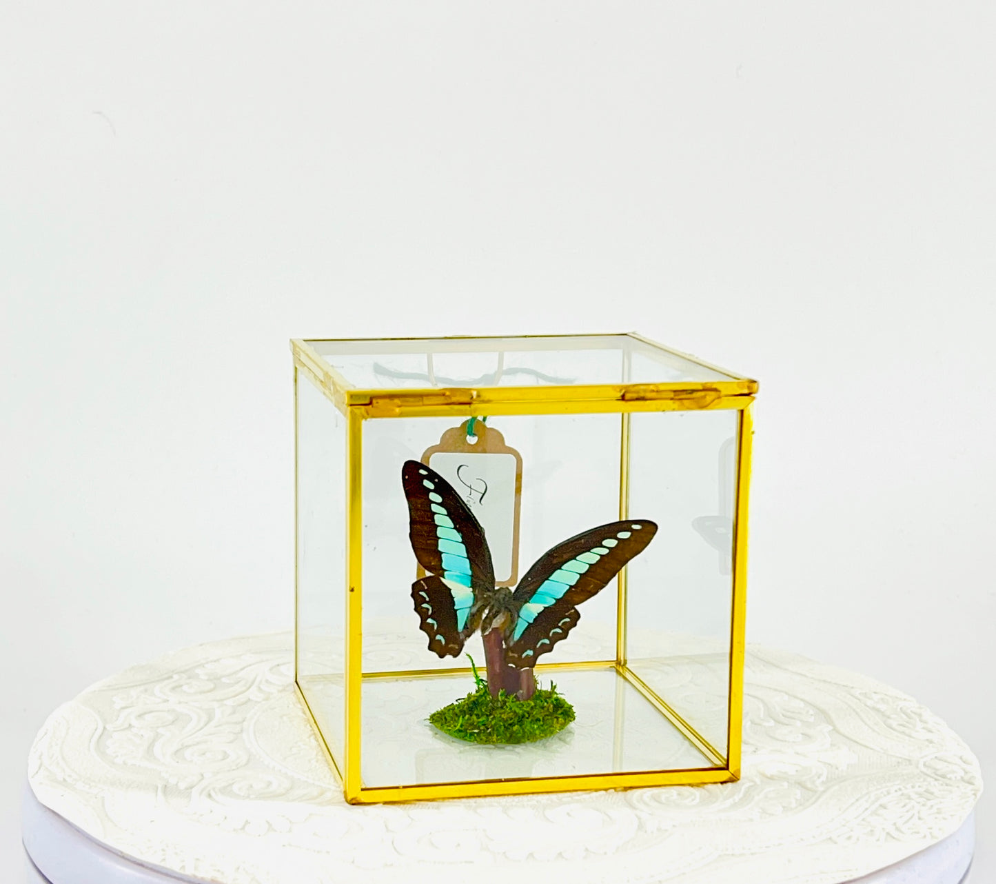 The Cube | Tabletop Centerpiece | Blue Triangle | Light Blue | Flutter by Katie Butterfly Display | Handmade | Real Butterflies | Home Decor | Philippines