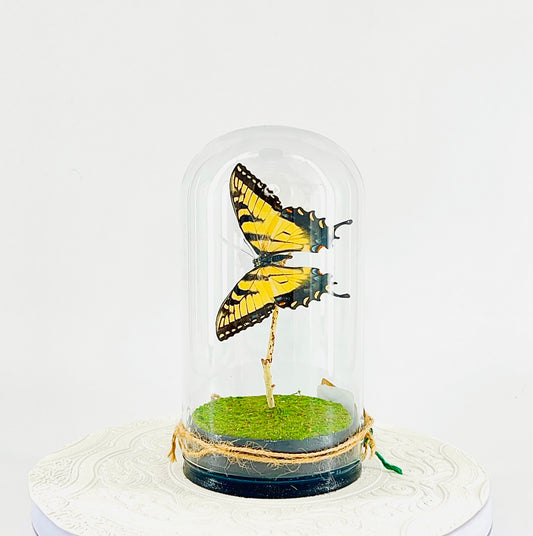Large Pendant | Hanging or Tabletop Centerpiece | Eastern Tiger Swallowtail | Yellow Black Blue | Flutter by Katie | Handmade Butterfly Sculpture Art | Home Decor | North America