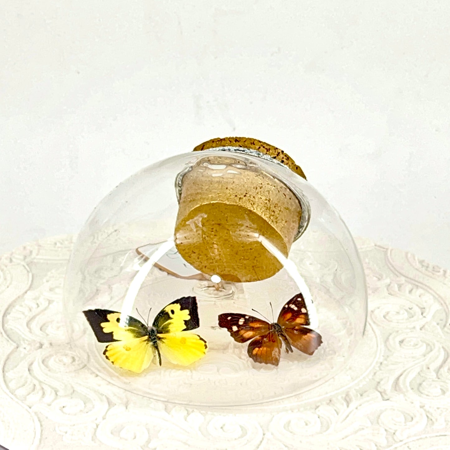 Droplet | California Dogface & American Snout Butterflies | Yellow Black Orange Brown Spots | Tabletop or Wall Hanging Display