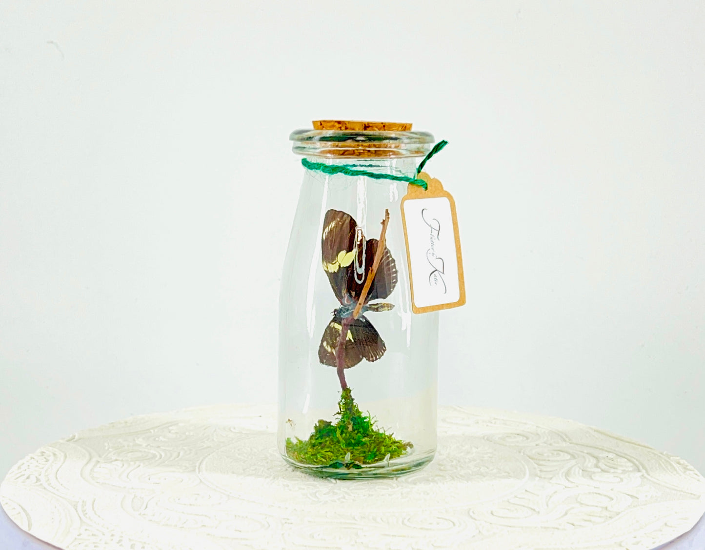 Accent | Centerpiece | Doris Longwing | Blue Yellow | Flutter by Katie | Handmade Butterfly Sculpture Art | Home Decor | Central America