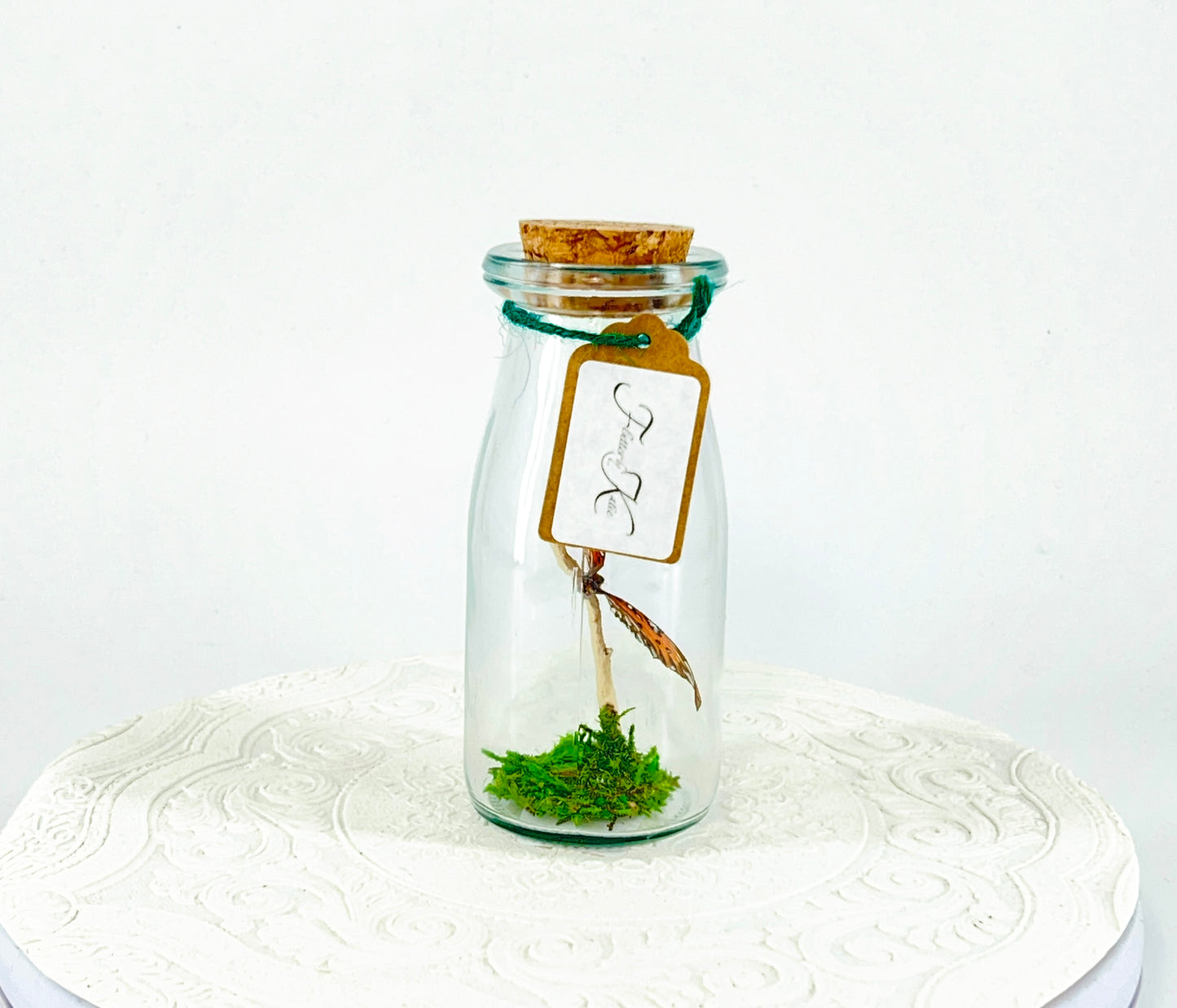 Accent Jar | Gulf Fritillary Butterfly | Metallic Silver Spots | Tabletop Display
