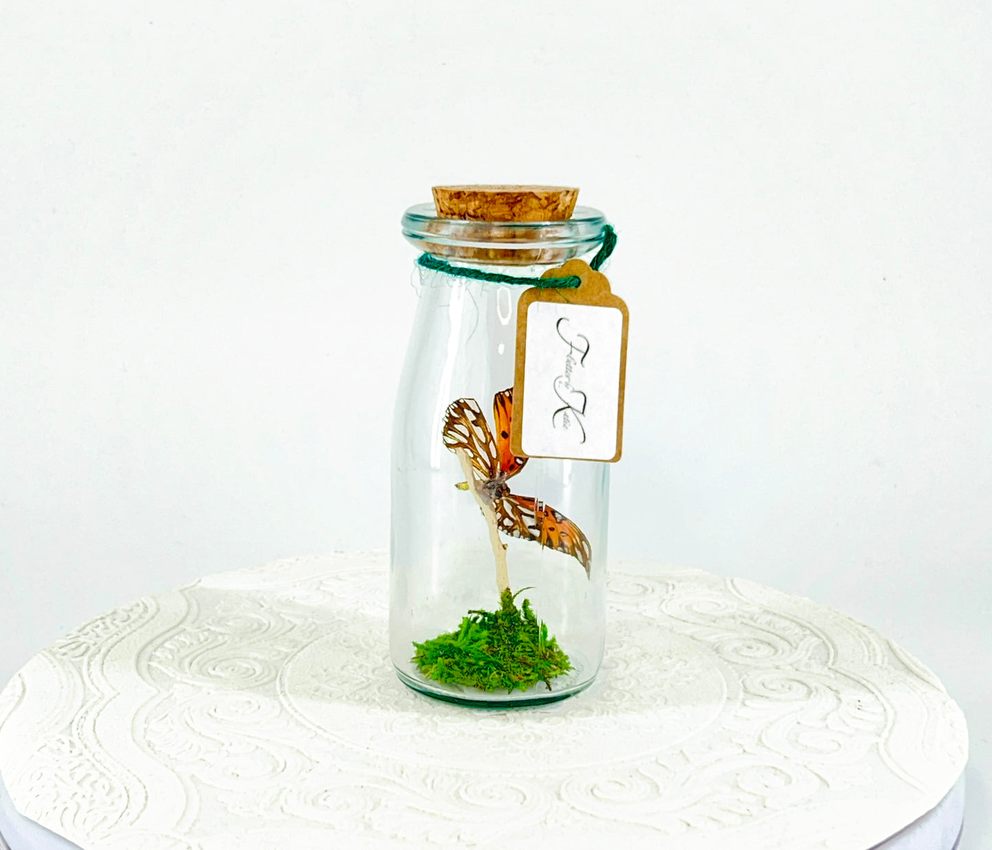 Accent Jar | Gulf Fritillary Butterfly | Metallic Silver Spots | Tabletop Display