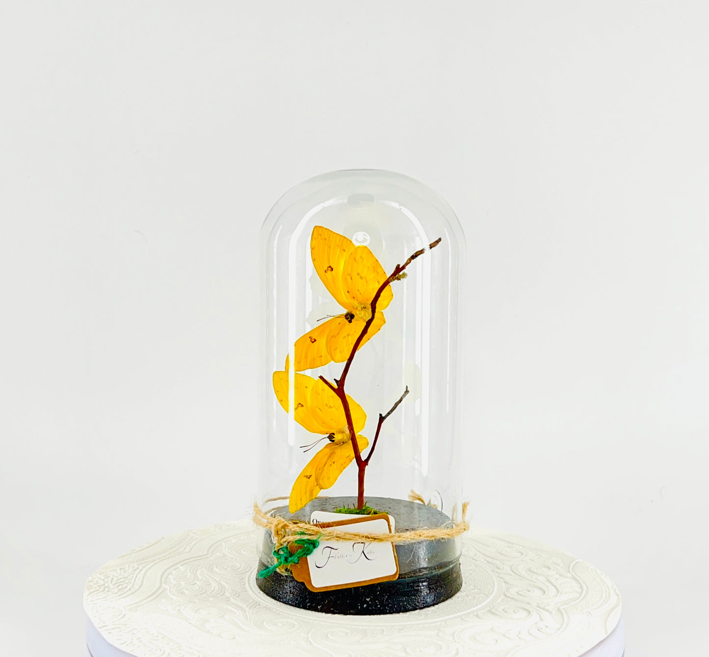 Large Pendant | Hanging or Tabletop Centerpiece | Orange-barred Sulphur | Yellow Orange | Flutter by Katie | Handmade Butterfly Sculpture Art | Home Decor | North America