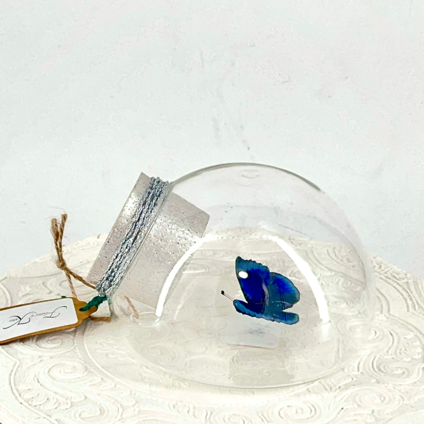 Droplet | Blue Glory Butterfly | Dark Blue Metallic Green | Tabletop or Wall Hanging Display
