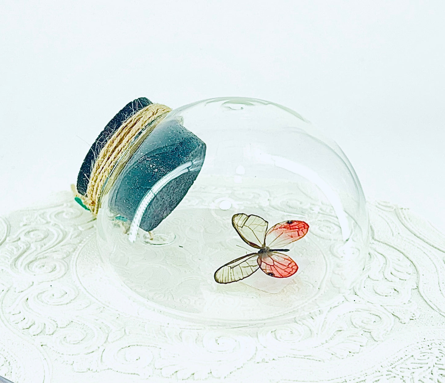 Droplet | Pink Glasswing | Pink Translucent | Tabletop or Wall Hanging Display