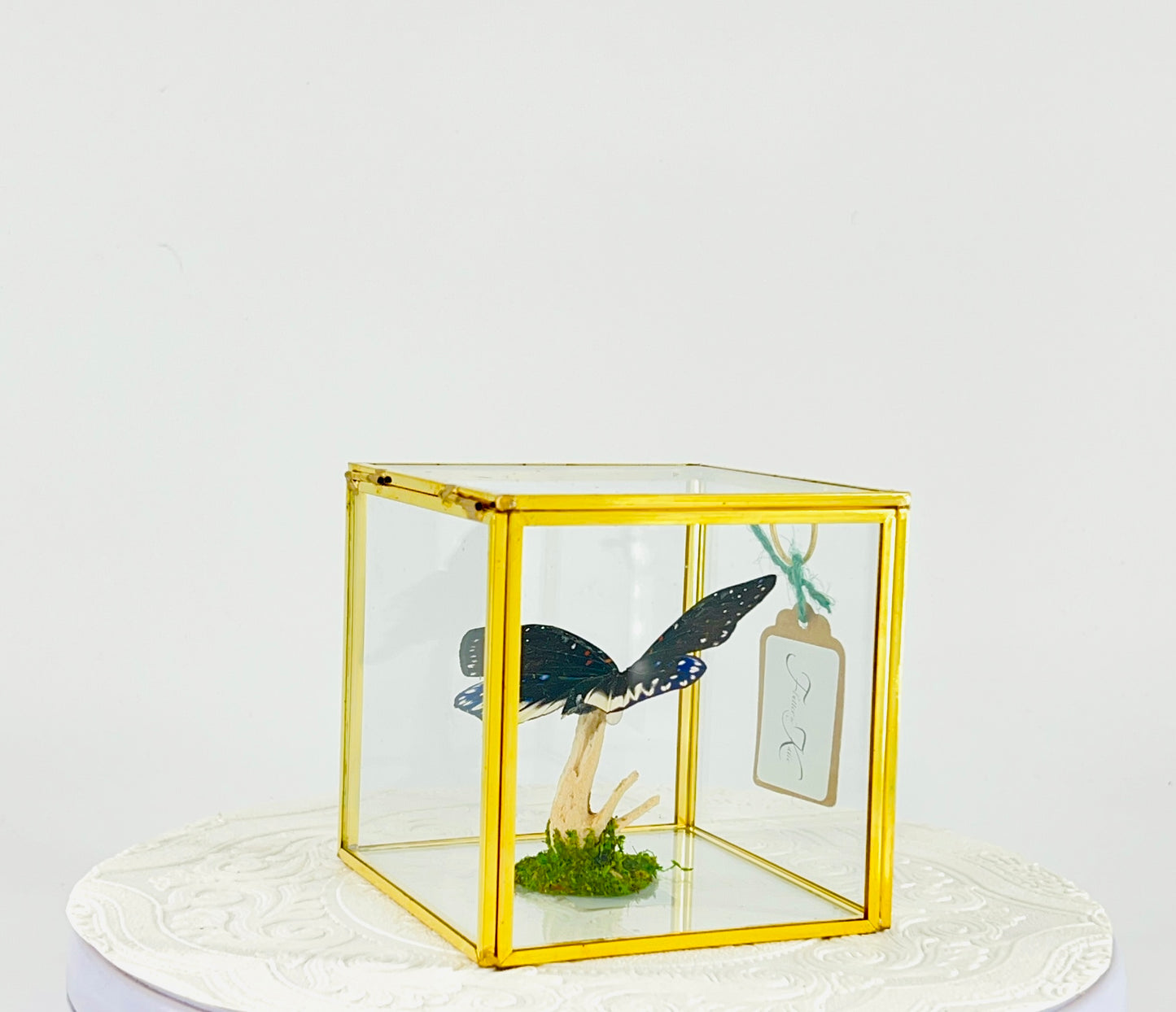 The Cube | Tabletop | Galaxy Moth | Centerpiece | Blue Black White | Flutter by Katie Handmade Butterfly Sculpture Art | Home Decor | Indonesia