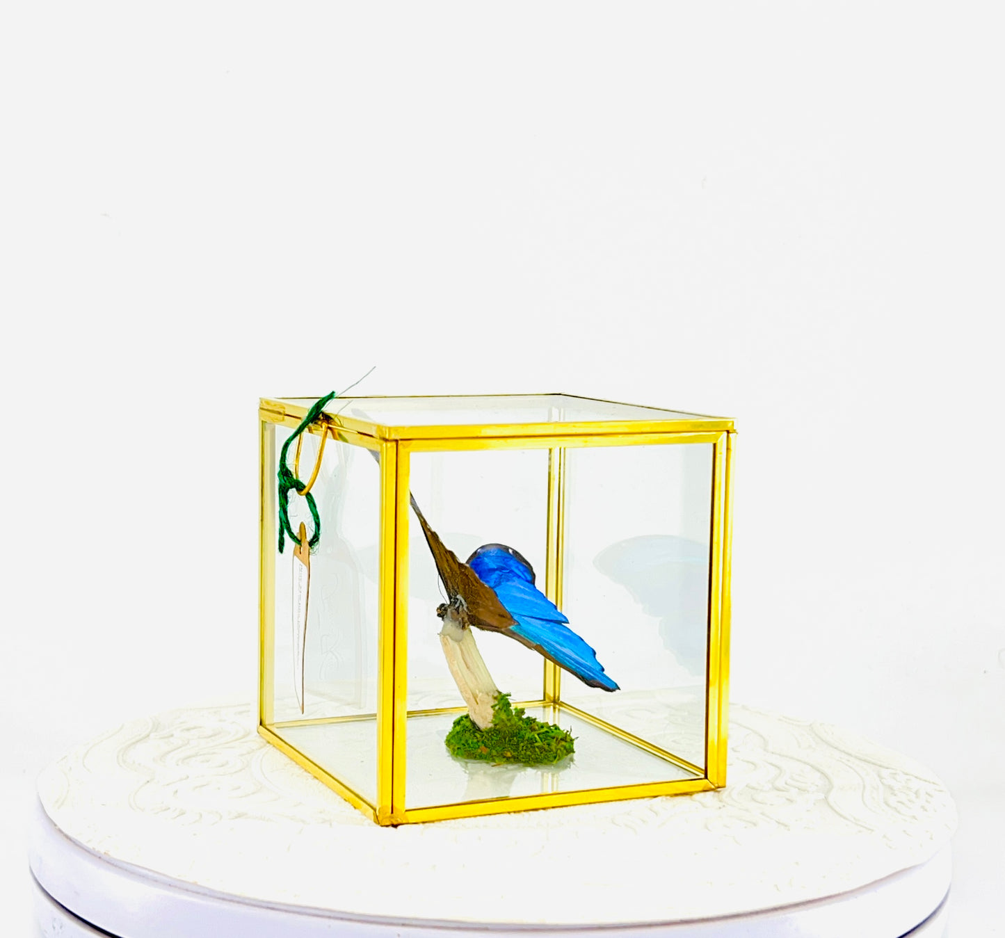The Cube | Tabletop | Blue Morpho | Blue | Flutter by Katie Handmade Butterfly Sculpture Art | Home Decor | Guyana