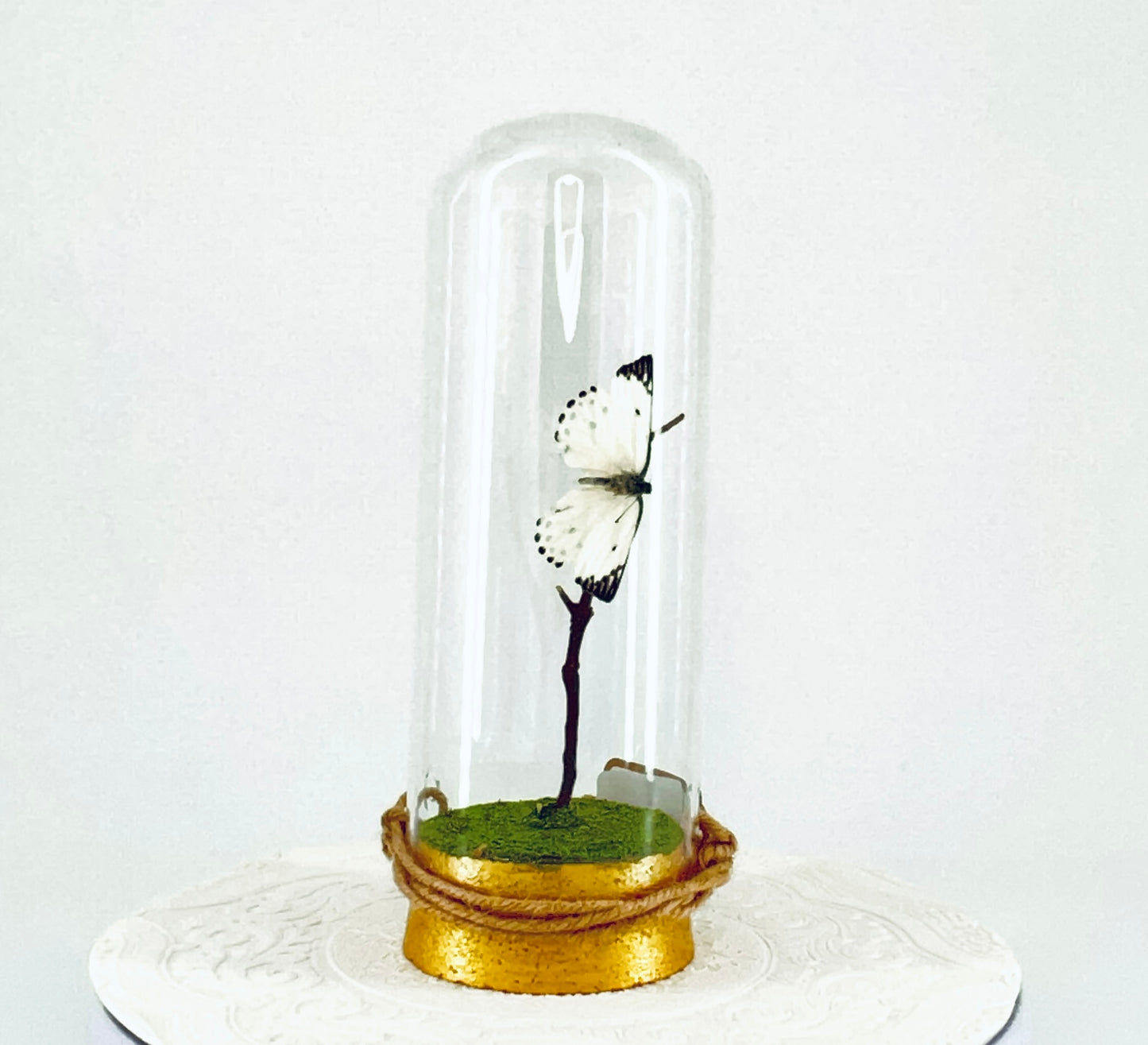 Pendant | Calypso Butterfly | White w/ Black Spots | Tabletop or Hanging Display