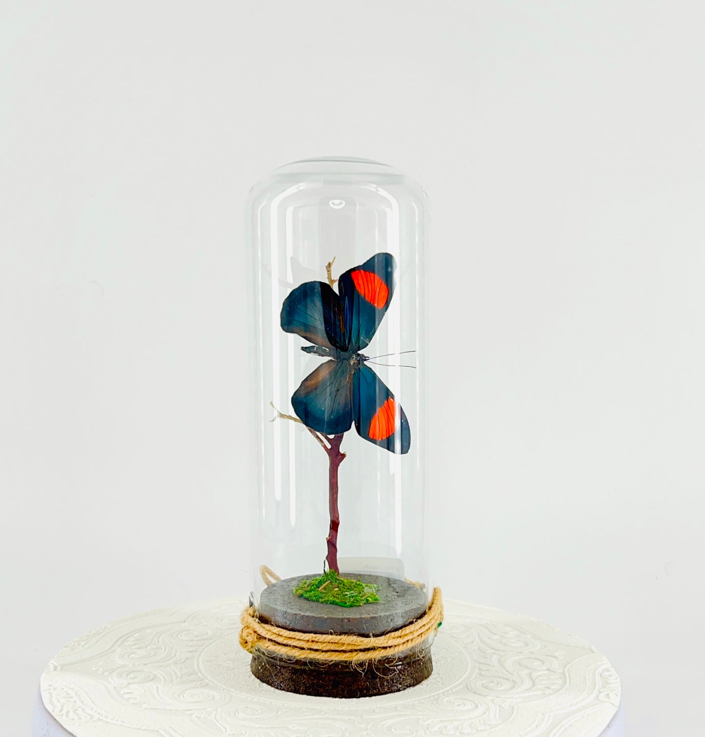 Pendant | Hanging or Tabletop Centerpiece | Painted Beauty | Pink Blue Black Yellow | Flutter by Katie | Butterfly Display | Sculpture Art | Handmade | Home Decor | Peru