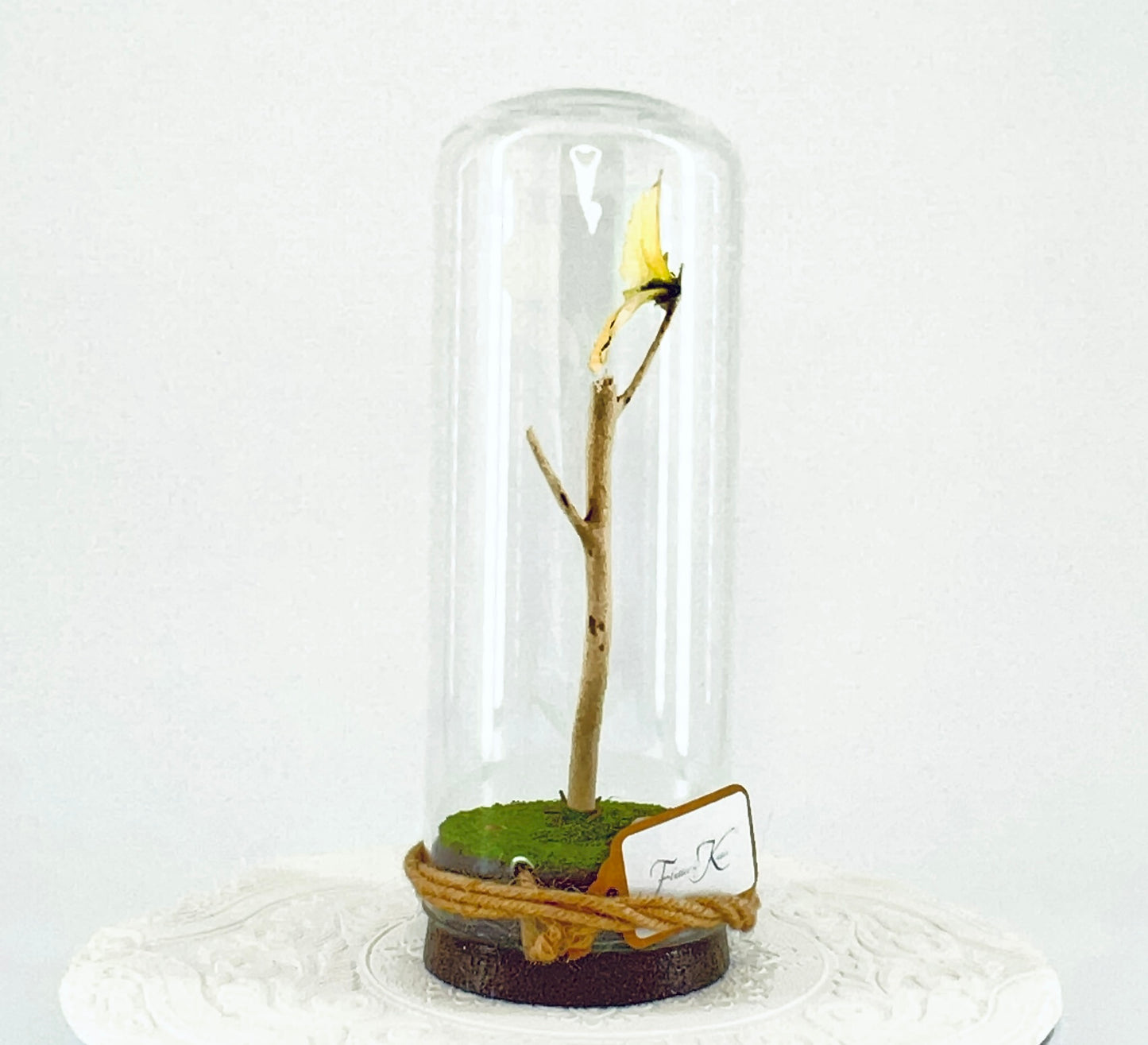 Pendant | Buttercup Butterfly | Pale Yellow | Tabletop or Hanging Display