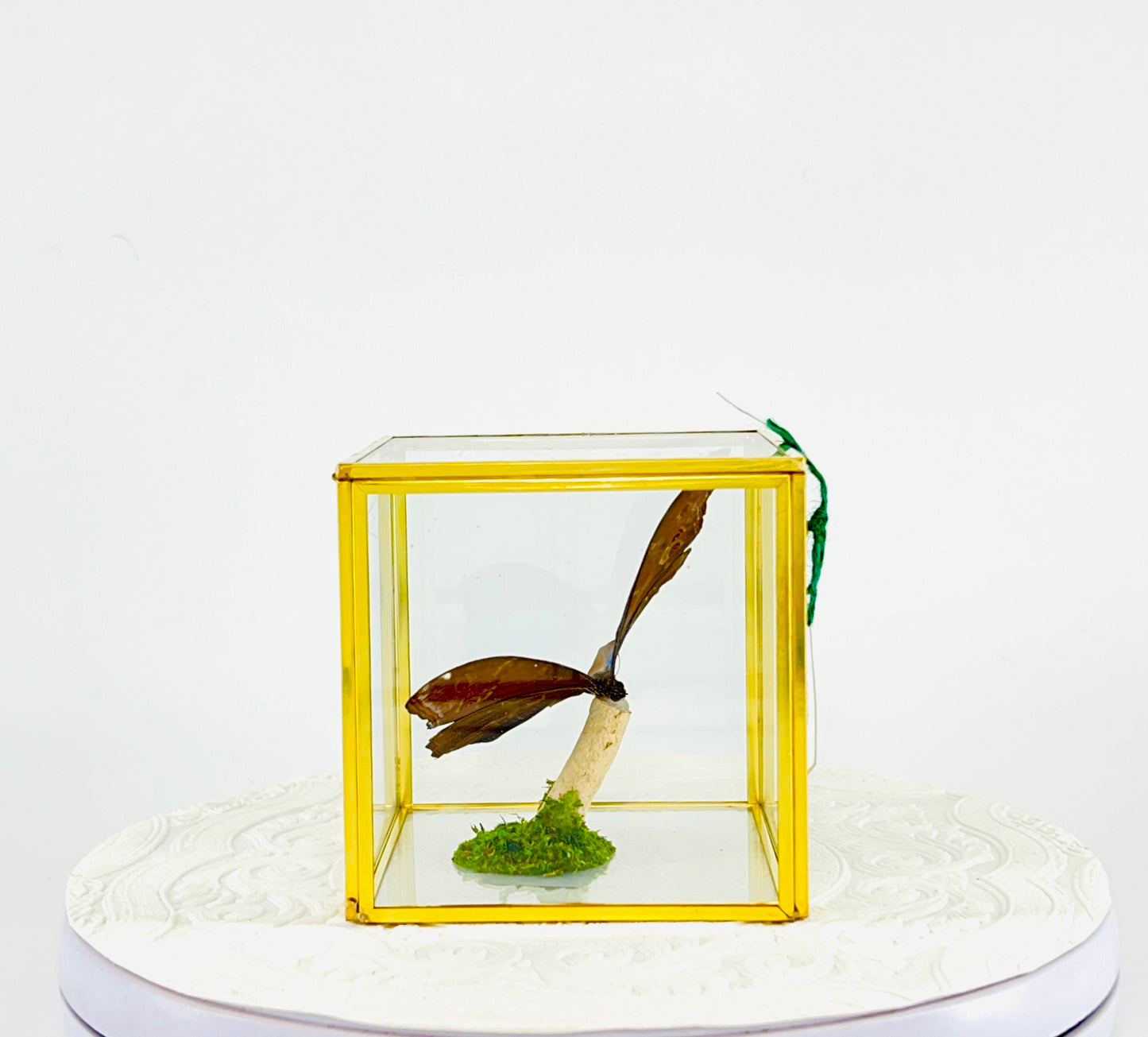 The Cube | Tabletop | Blue Morpho | Blue | Flutter by Katie Handmade Butterfly Sculpture Art | Home Decor | Guyana