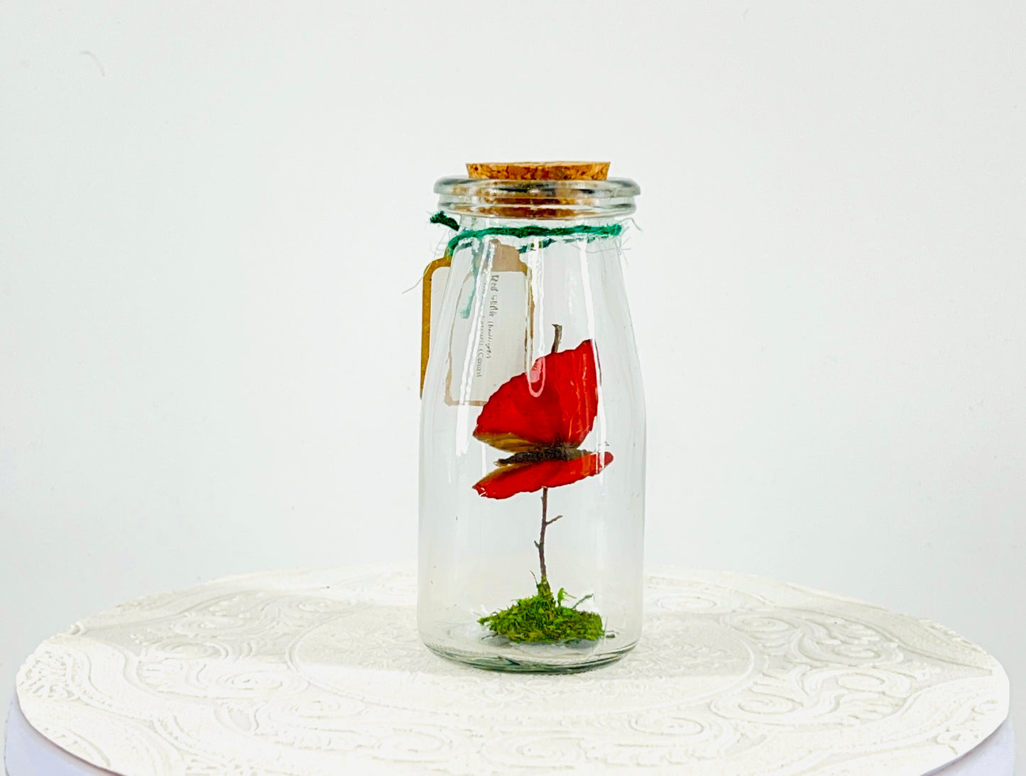 Accent Jar | Red Glider | Red | Tabletop Display