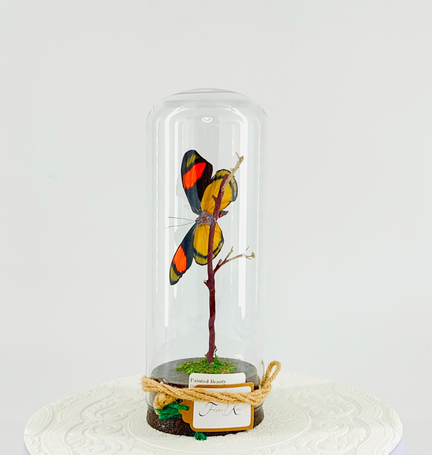 Pendant | Hanging or Tabletop Centerpiece | Painted Beauty | Pink Blue Black Yellow | Flutter by Katie | Butterfly Display | Sculpture Art | Handmade | Home Decor | Peru