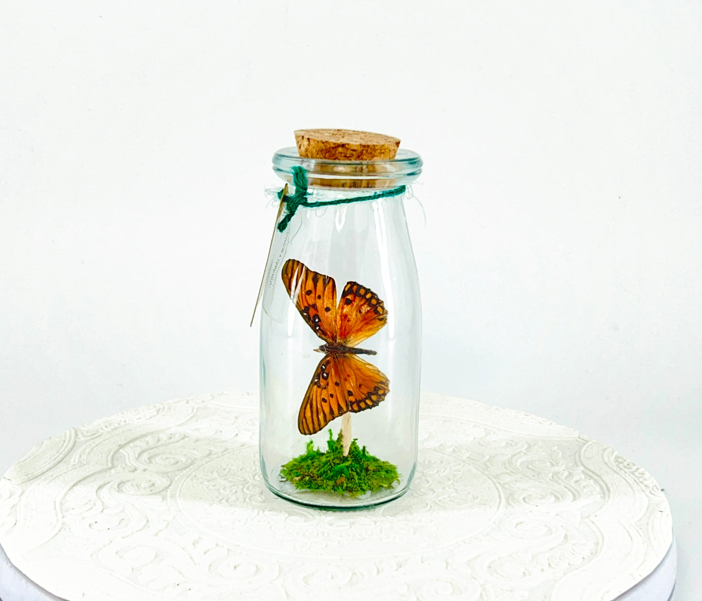 Accent Jar | Gulf Fritillary Butterfly | Metallic Silver Spots | Tabletop Display