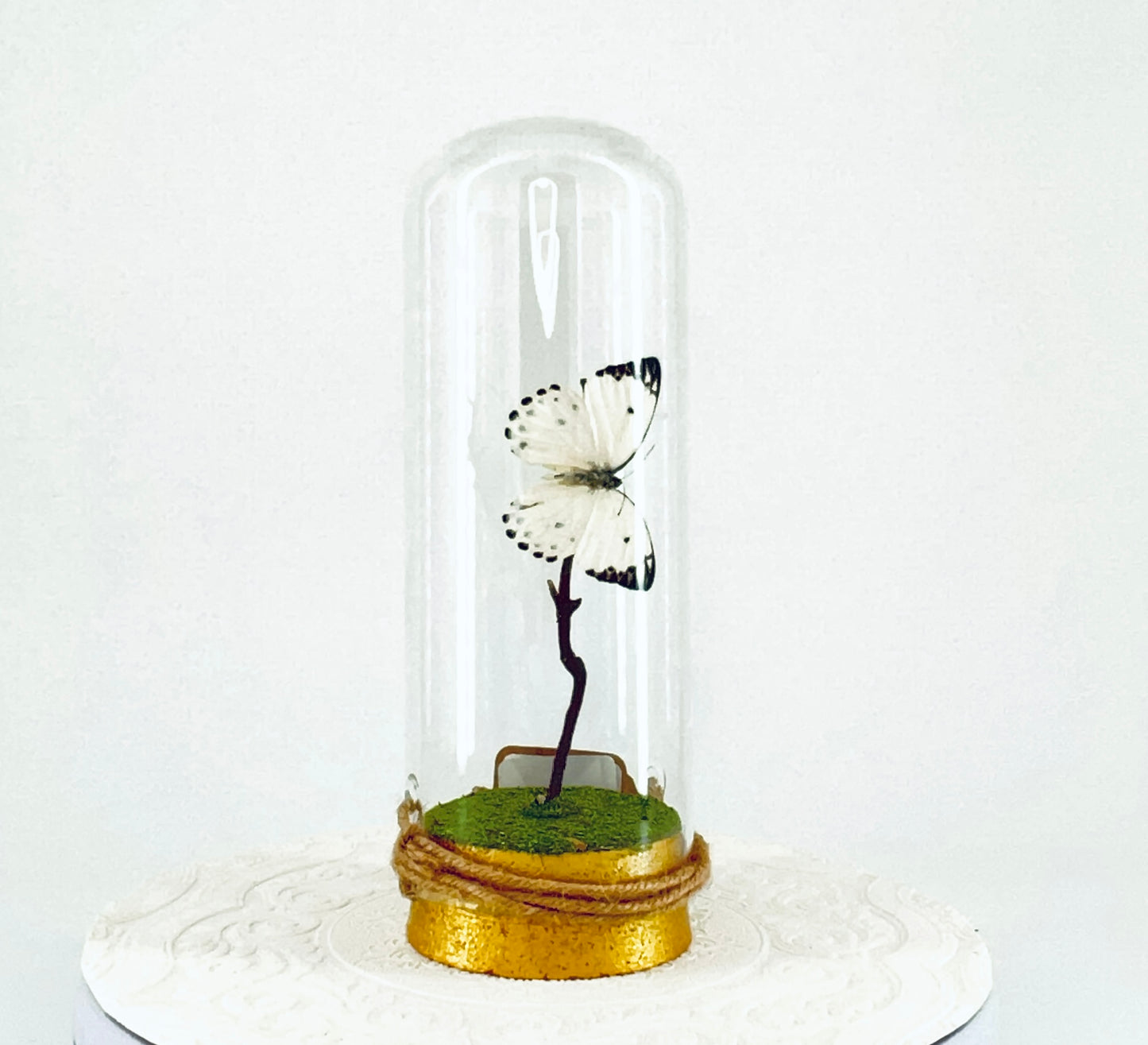 Pendant | Calypso Butterfly | White w/ Black Spots | Tabletop or Hanging Display