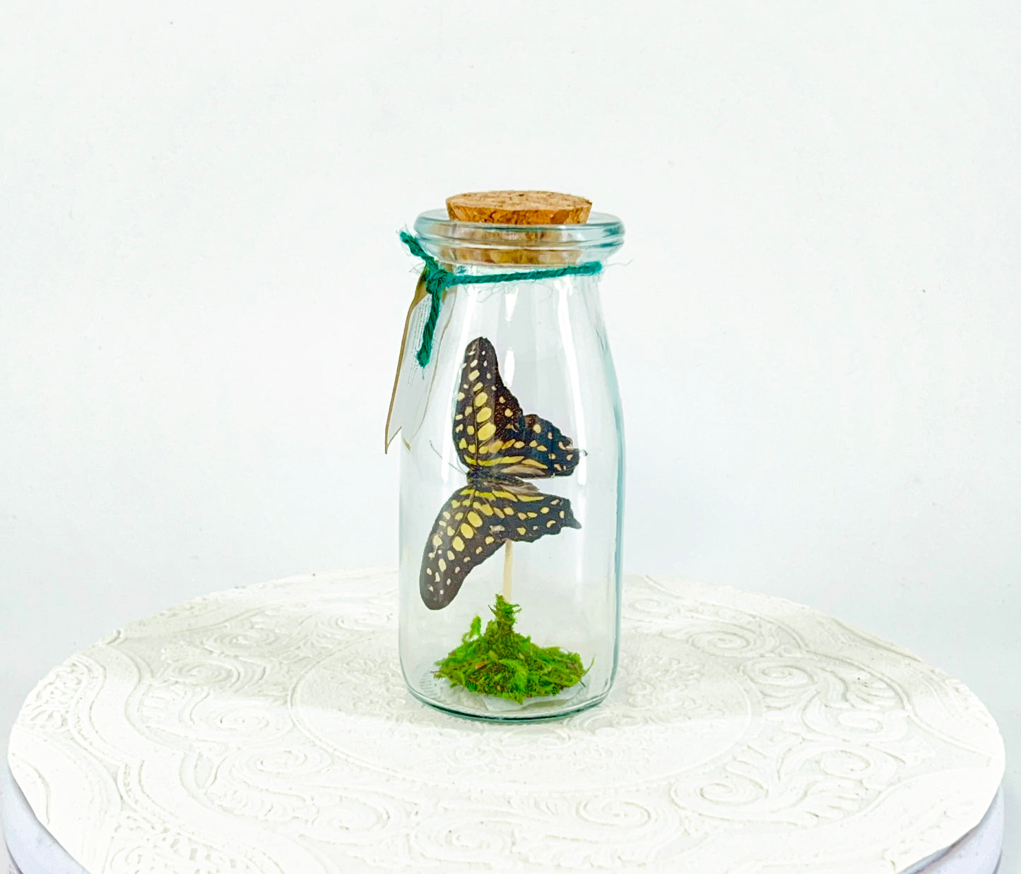 Accent Jar | Agamemnon | Green Black | Tabletop Display