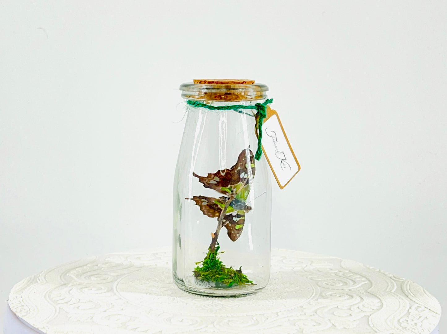 Accent | Centerpiece | Purple Spotted Swallowtail | Purple Green Blue Black | Flutter by Katie Butterfly Display | Handmade | Real Butterflies | Home Decor | Indonesia