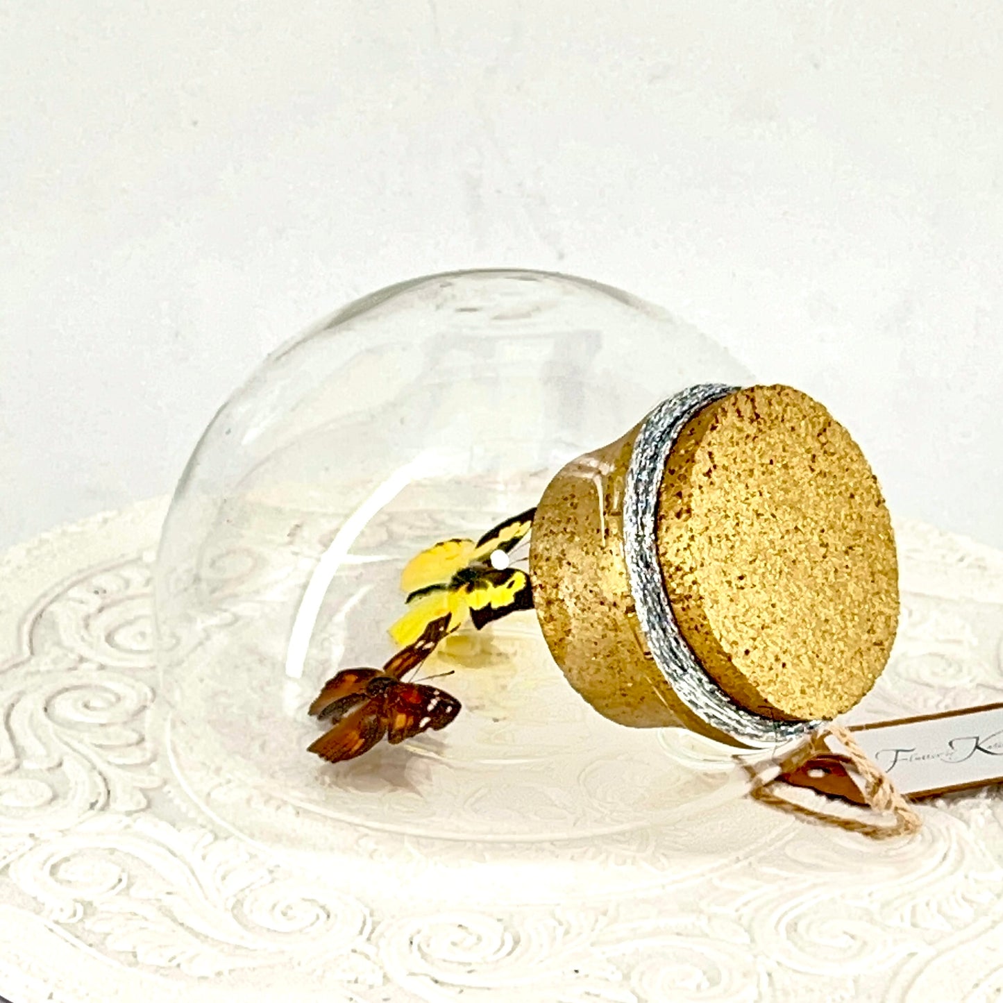 Droplet | California Dogface & American Snout Butterflies | Yellow Black Orange Brown Spots | Tabletop or Wall Hanging Display