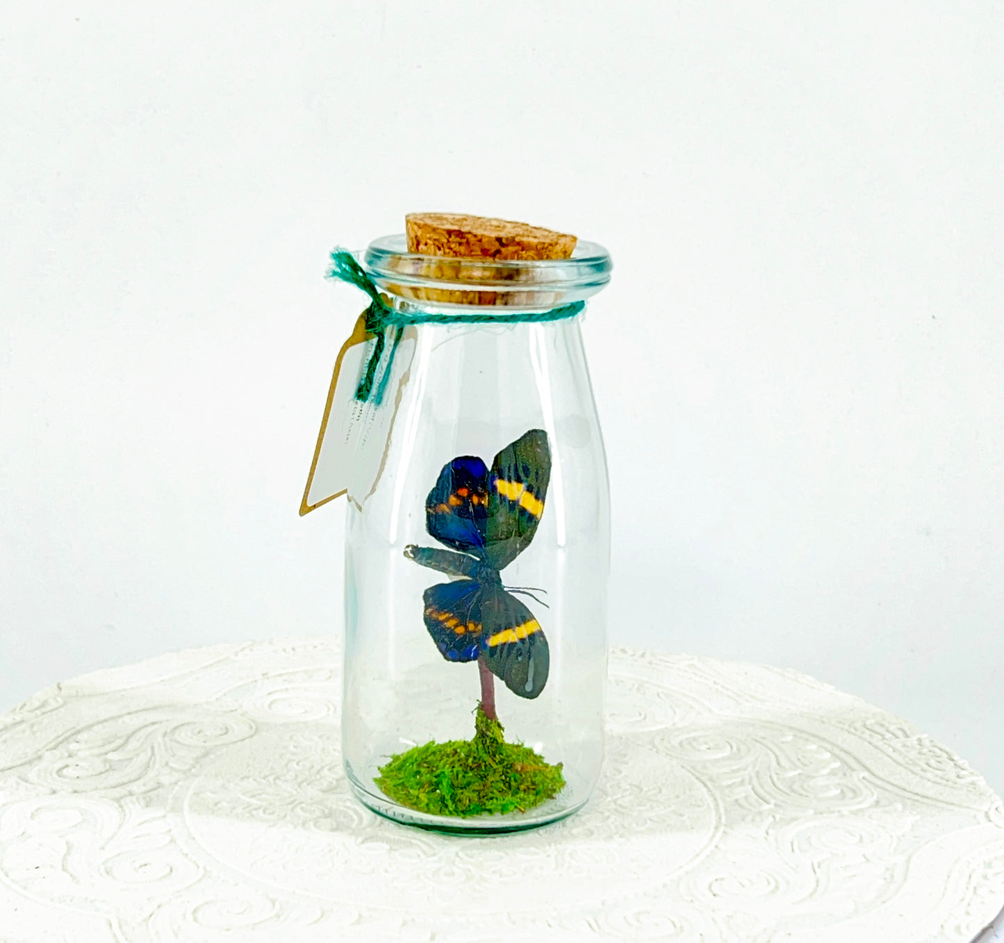 Accent Jar | Day Moth | Green Black Yellow | Tabletop Display