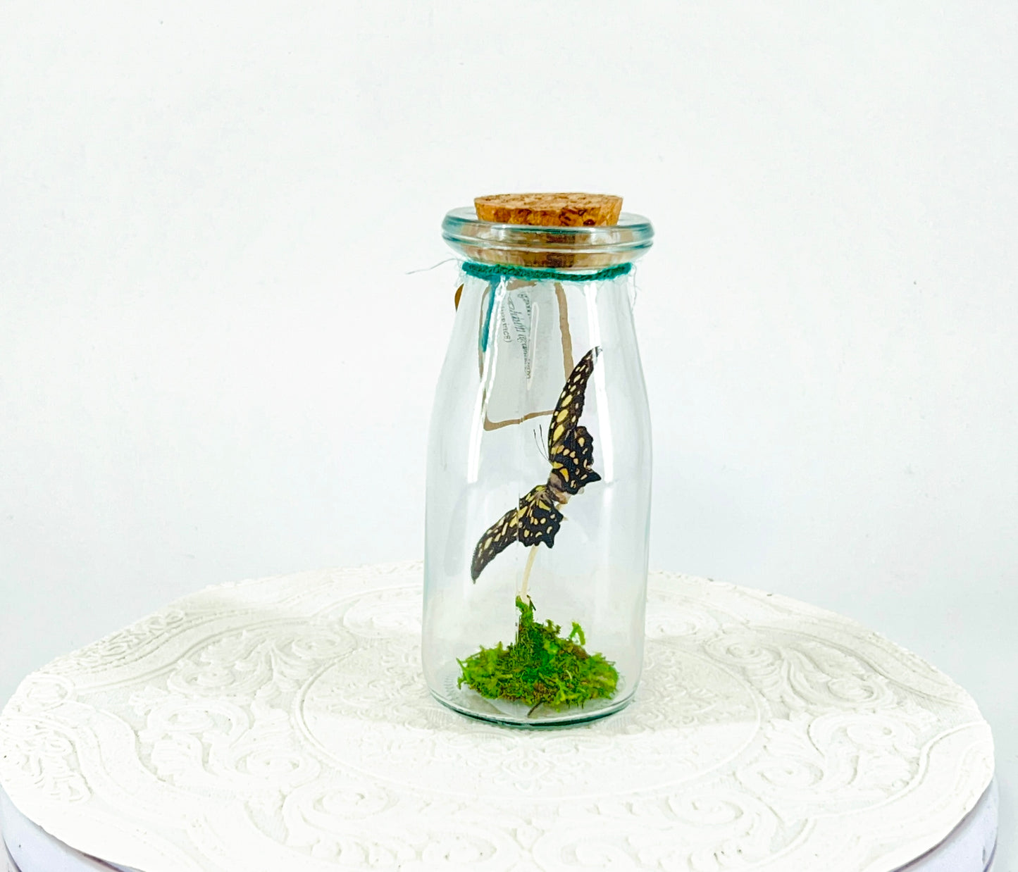 Accent Jar | Agamemnon | Green Black | Tabletop Display