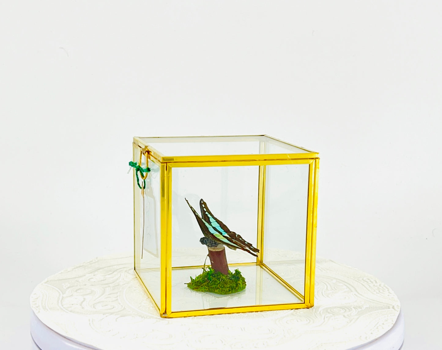 The Cube | Tabletop Centerpiece | Blue Triangle | Light Blue | Flutter by Katie Butterfly Display | Handmade | Real Butterflies | Home Decor | Philippines