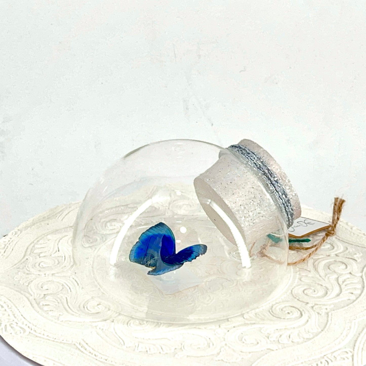 Droplet | Blue Glory Butterfly | Dark Blue Metallic Green | Tabletop or Wall Hanging Display