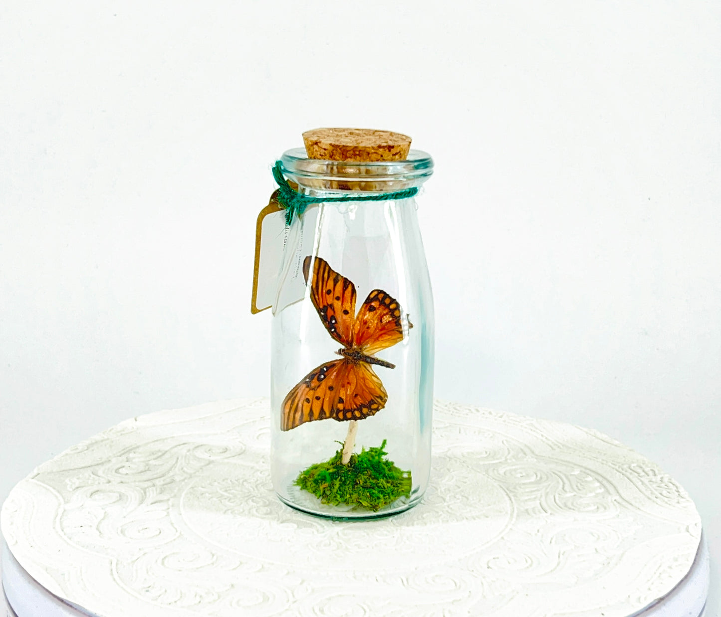 Accent Jar | Gulf Fritillary Butterfly | Metallic Silver Spots | Tabletop Display