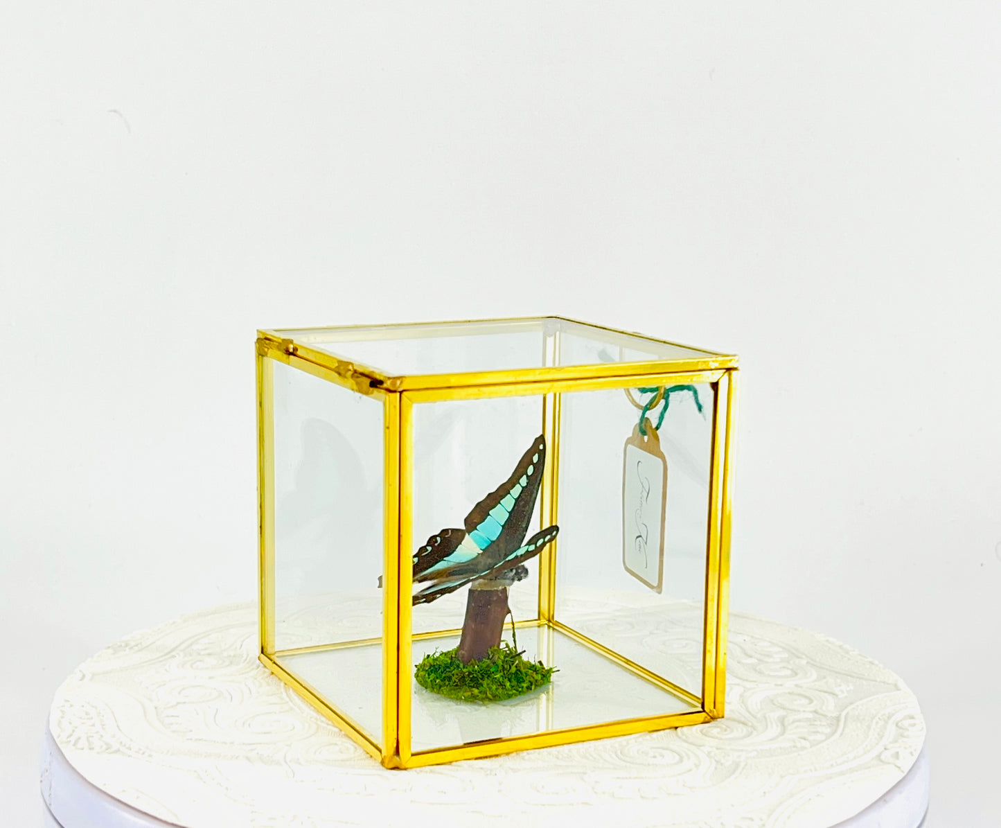 The Cube | Tabletop Centerpiece | Blue Triangle | Light Blue | Flutter by Katie Butterfly Display | Handmade | Real Butterflies | Home Decor | Philippines