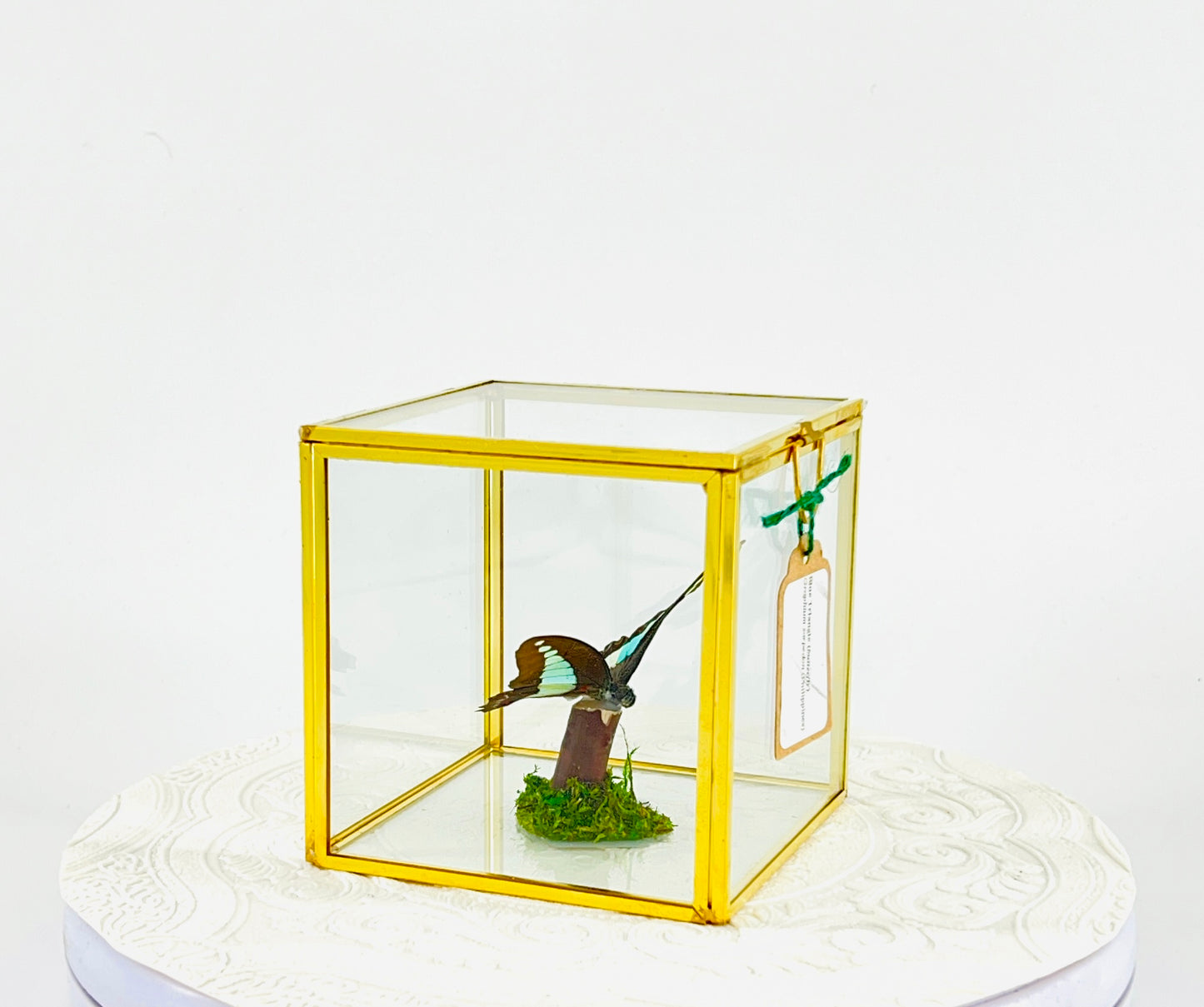 The Cube | Tabletop Centerpiece | Blue Triangle | Light Blue | Flutter by Katie Butterfly Display | Handmade | Real Butterflies | Home Decor | Philippines