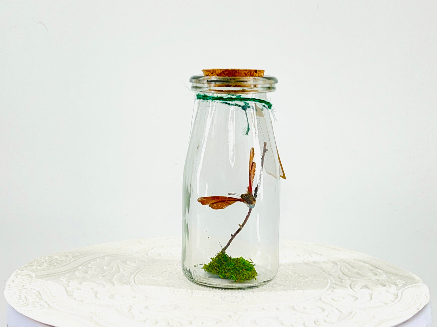 Accent Jar | Red Glider | Red | Tabletop Display