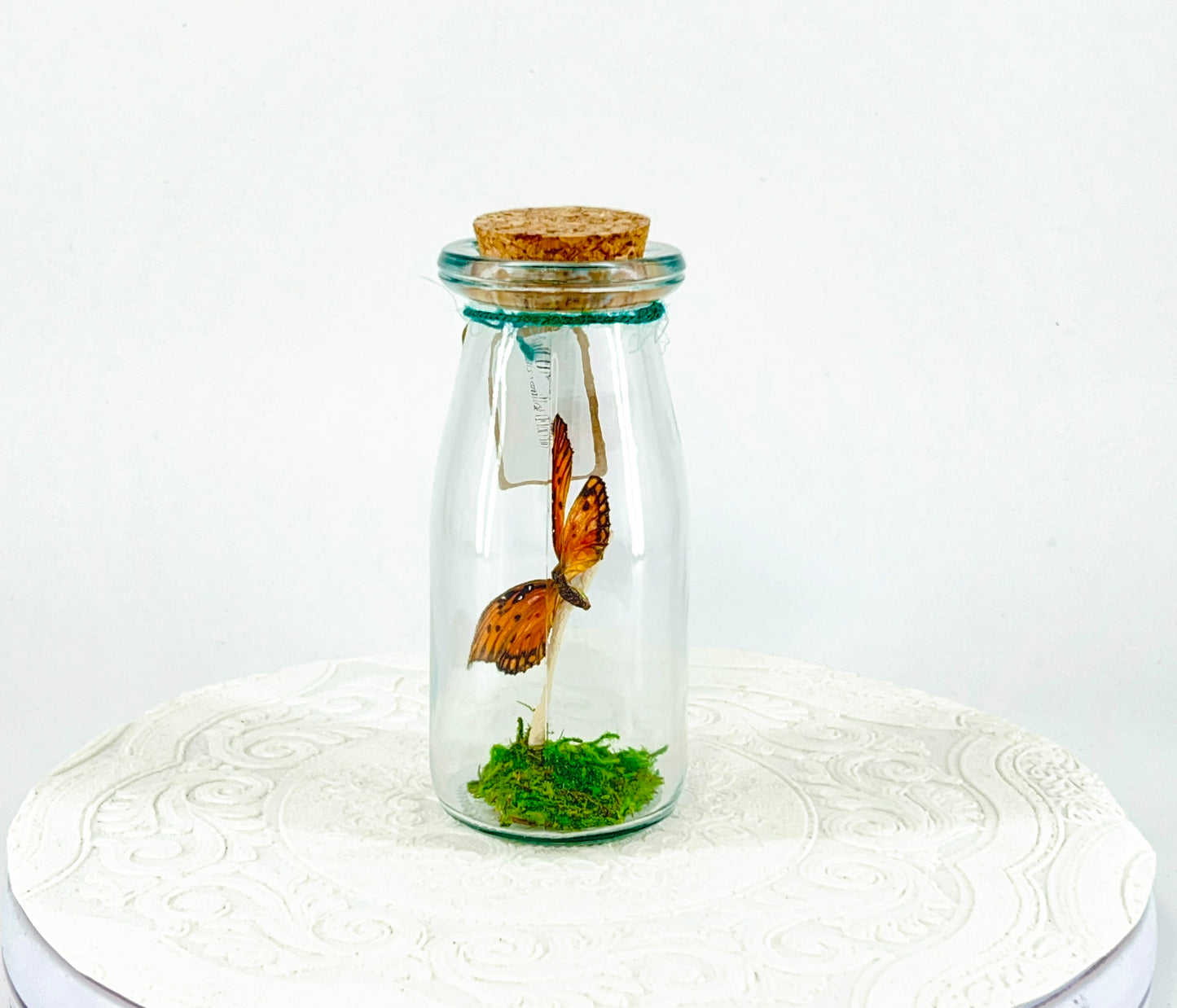 Accent Jar | Gulf Fritillary Butterfly | Metallic Silver Spots | Tabletop Display