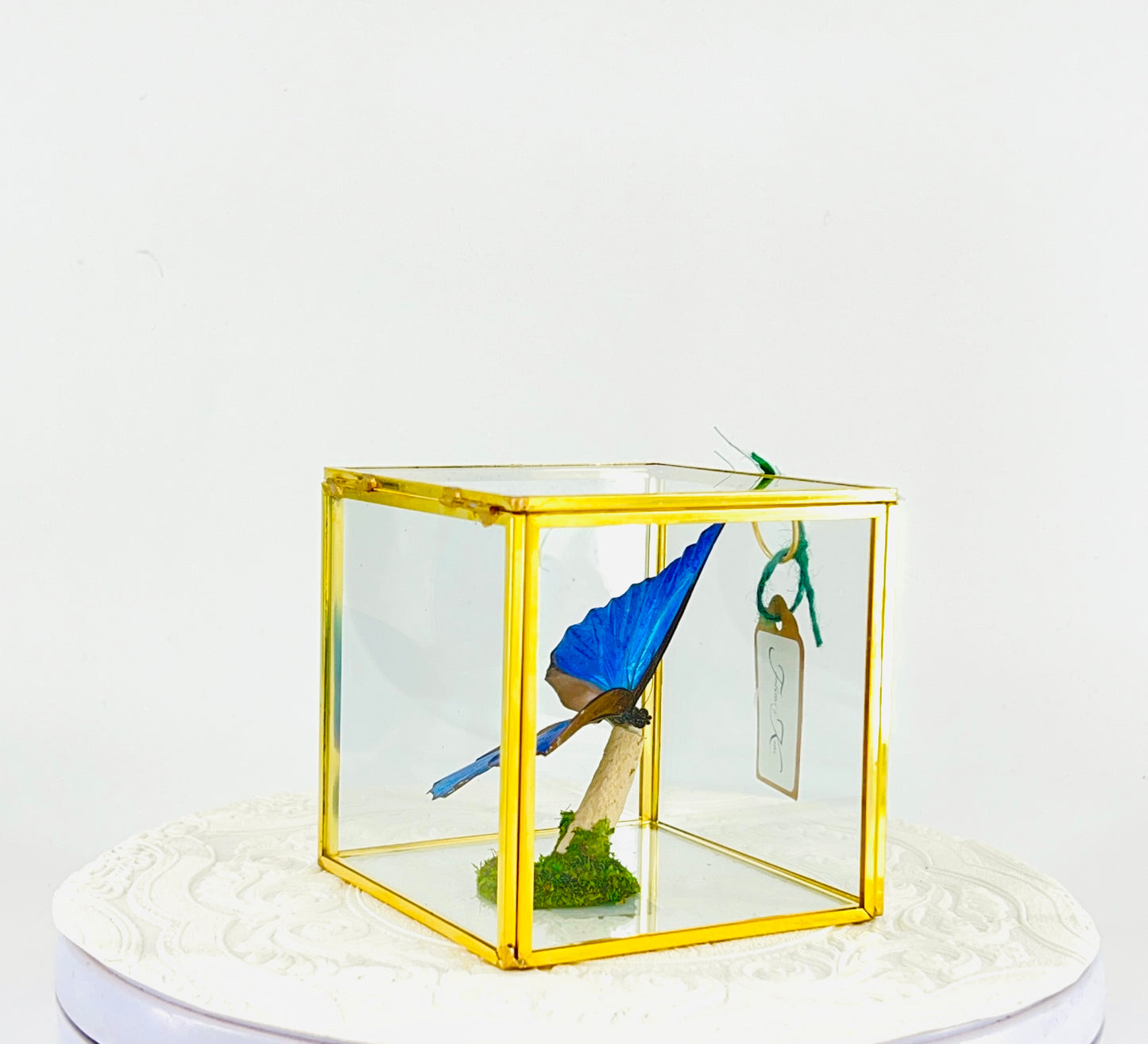 The Cube | Tabletop | Blue Morpho | Blue | Flutter by Katie Handmade Butterfly Sculpture Art | Home Decor | Guyana