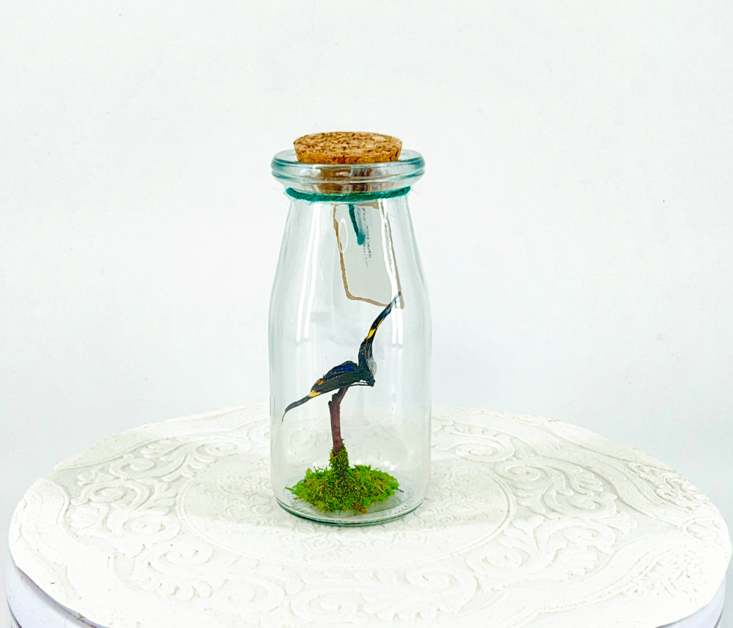 Accent Jar | Day Moth | Green Black Yellow | Tabletop Display