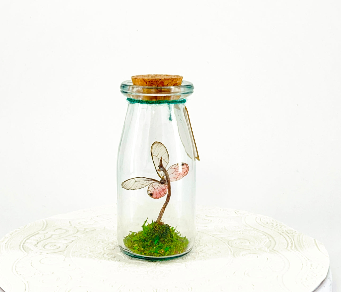 Accent Jar | Pink Glasswing | Pink | Tabletop Display