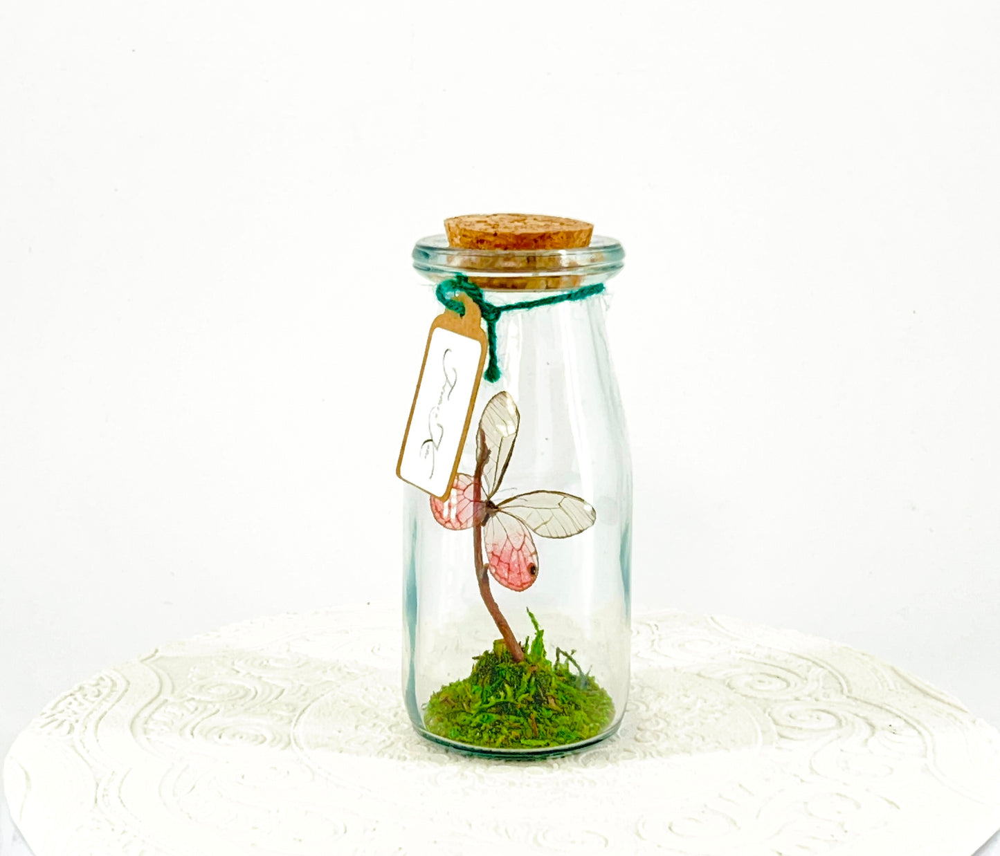 Accent Jar | Pink Glasswing | Pink | Tabletop Display