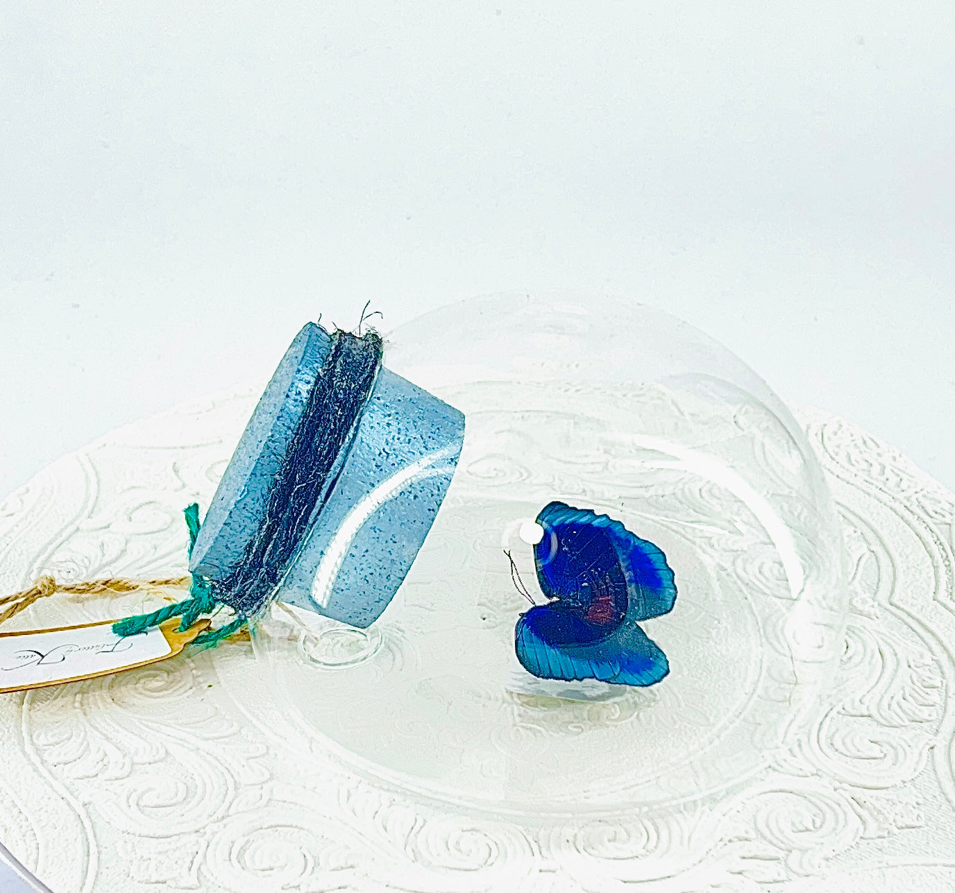 Droplet | Blue Glory Butterfly | Dark Blue Metallic Green | Tabletop or Wall Hanging Display